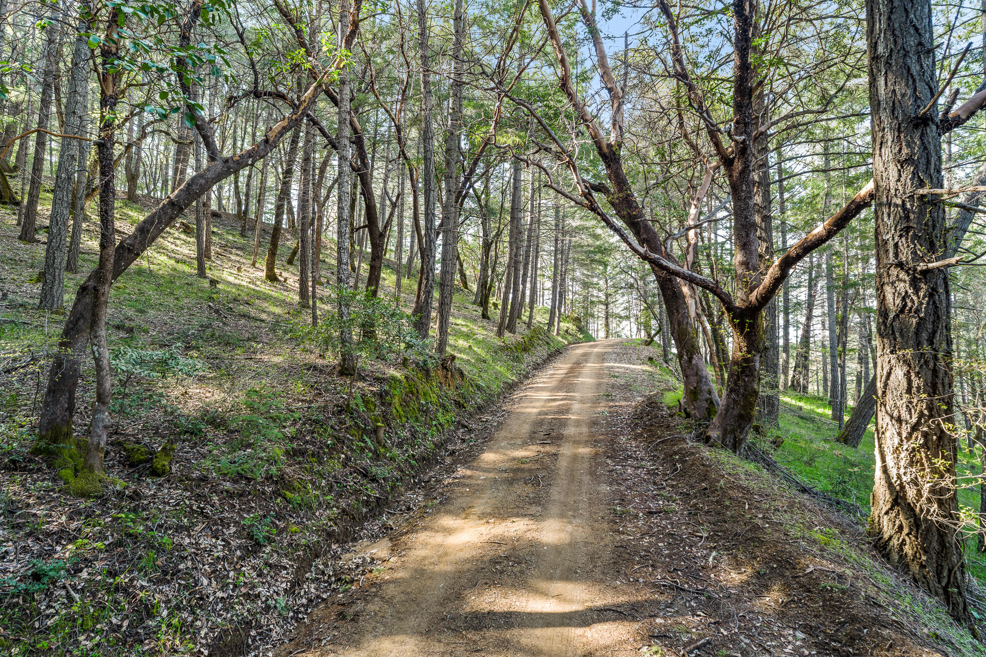 Out Of Area, California 95481, United States, 4 Bedrooms Bedrooms, ,3 BathroomsBathrooms,Residential,Active,125180