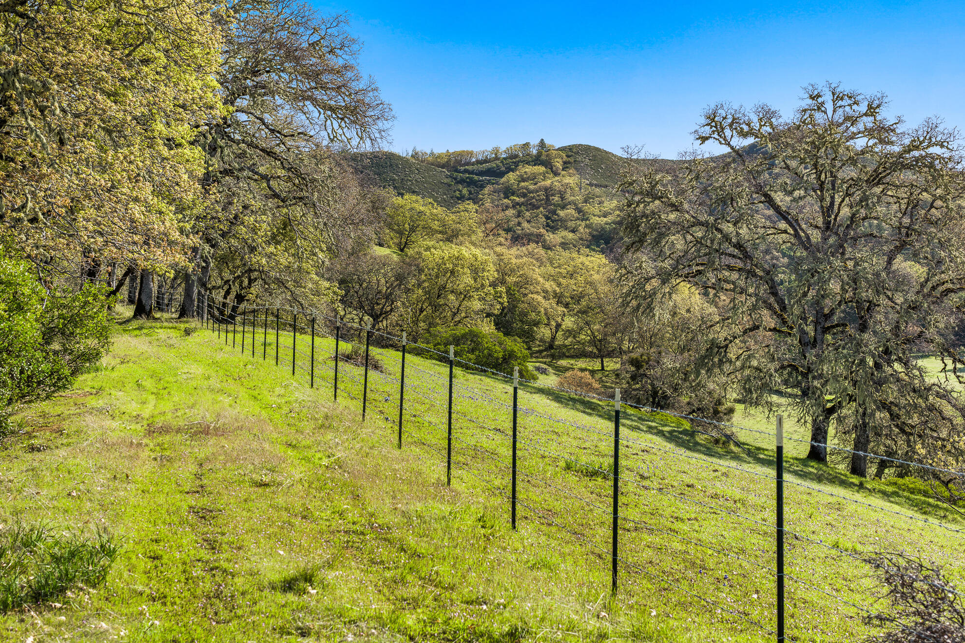 Out Of Area, California 95481, United States, 4 Bedrooms Bedrooms, ,3 BathroomsBathrooms,Residential,Active,125180