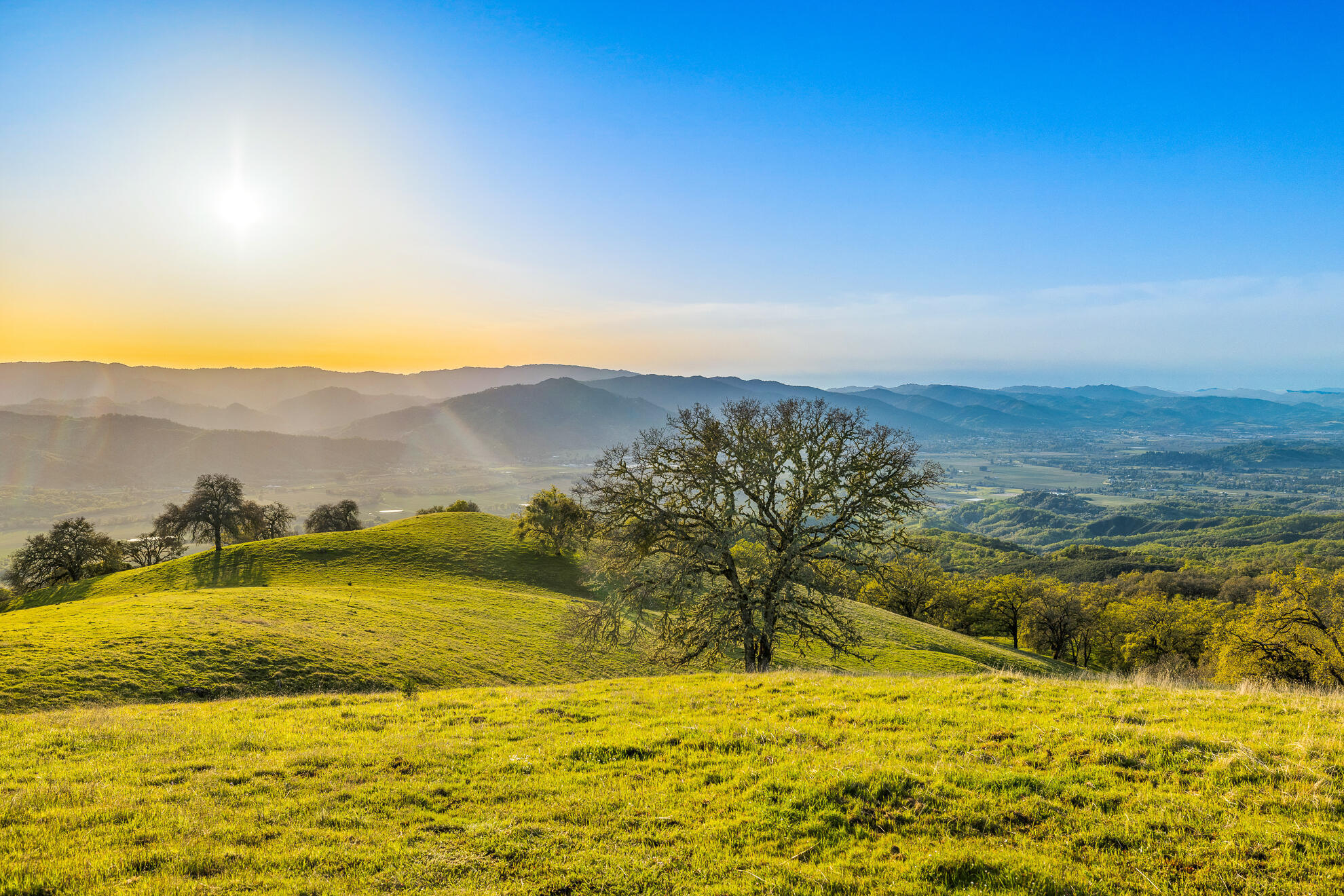 Out Of Area, California 95481, United States, 4 Bedrooms Bedrooms, ,3 BathroomsBathrooms,Residential,Active,125180