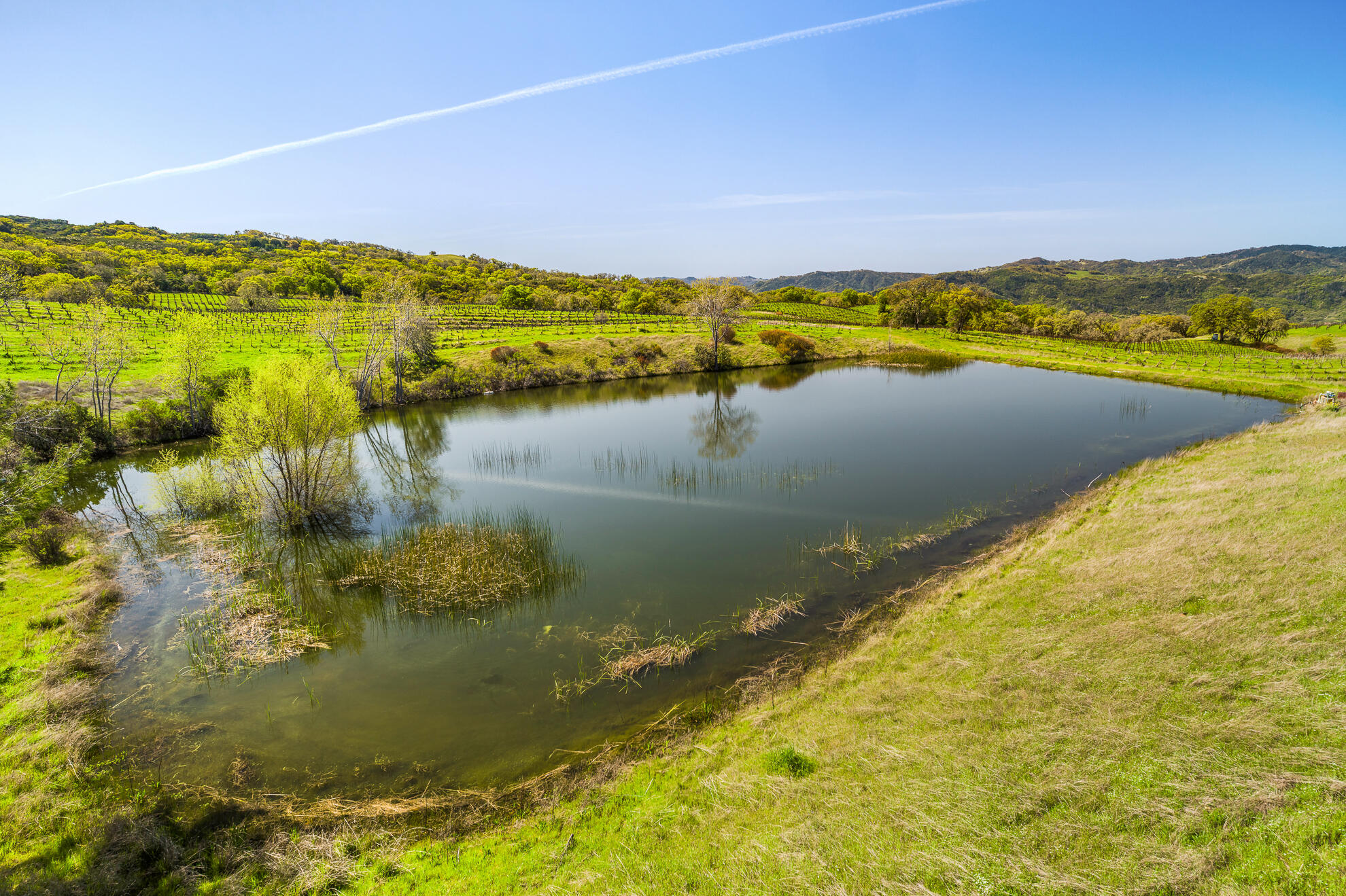 Out Of Area, California 95481, United States, 4 Bedrooms Bedrooms, ,3 BathroomsBathrooms,Residential,Active,125180