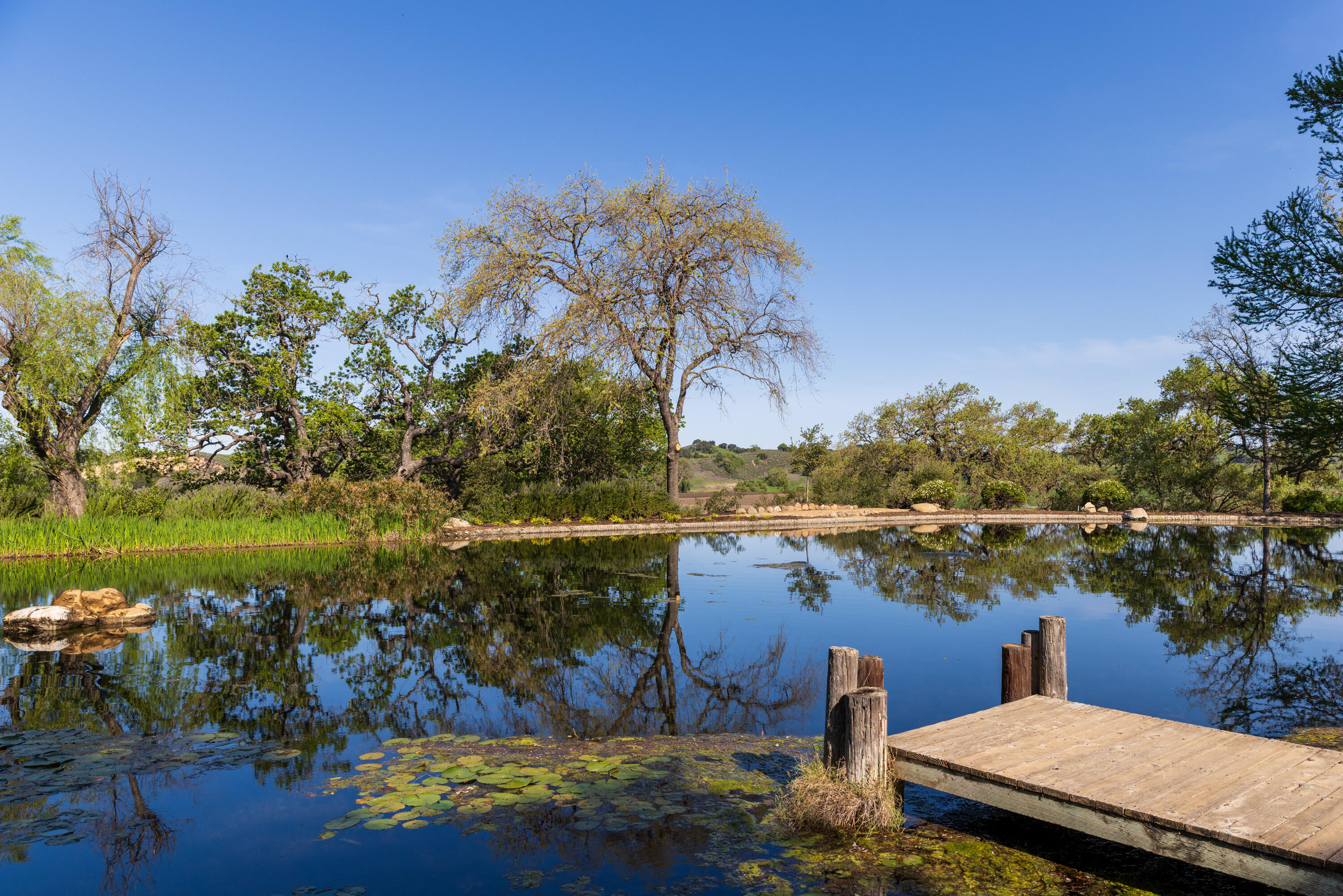 Los Olivos, California 93460, United States, 3 Bedrooms Bedrooms, ,5 BathroomsBathrooms,Residential,Active,122901