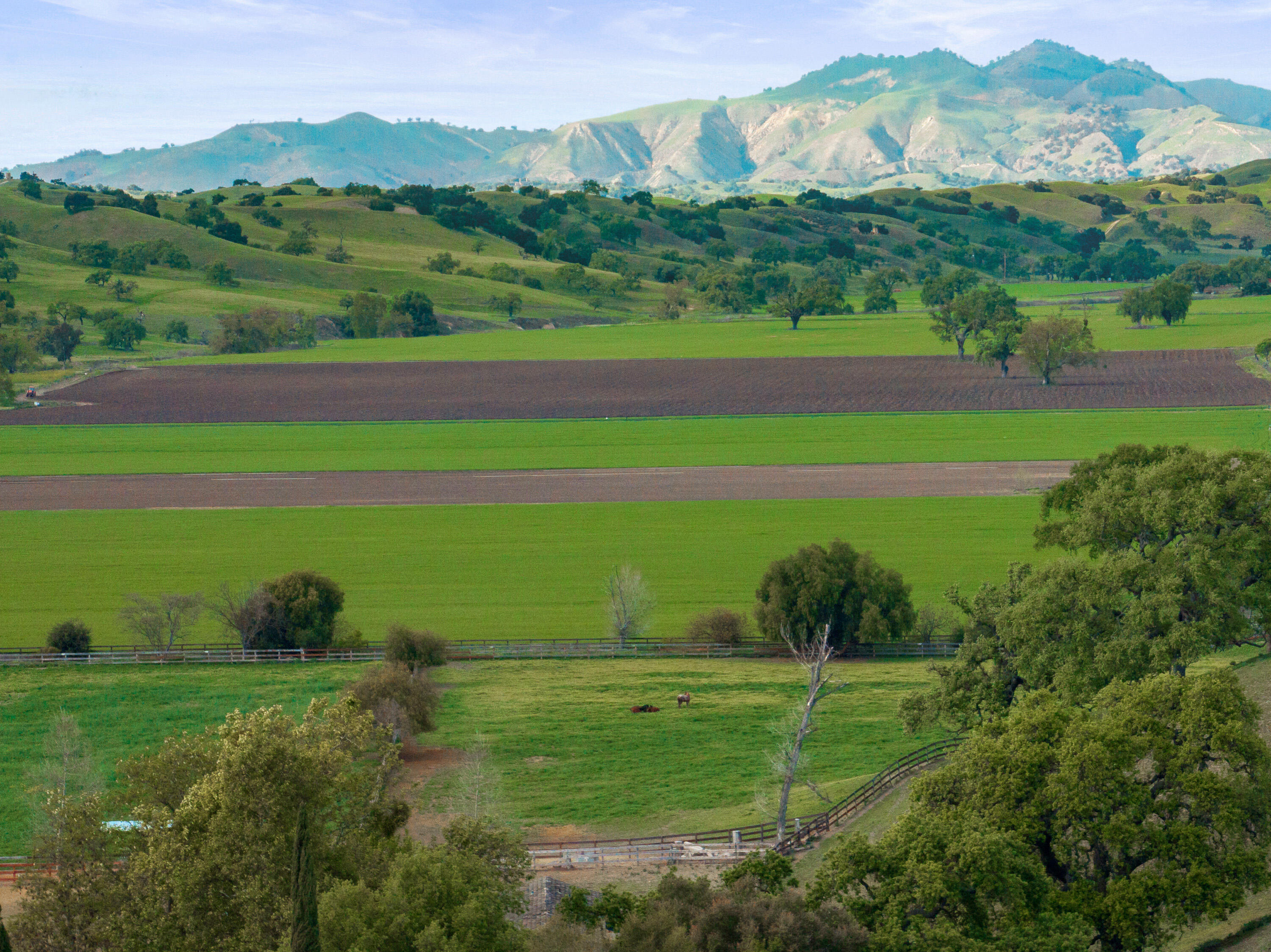 Los Olivos, California 93460, United States, 3 Bedrooms Bedrooms, ,5 BathroomsBathrooms,Residential,Active,122901