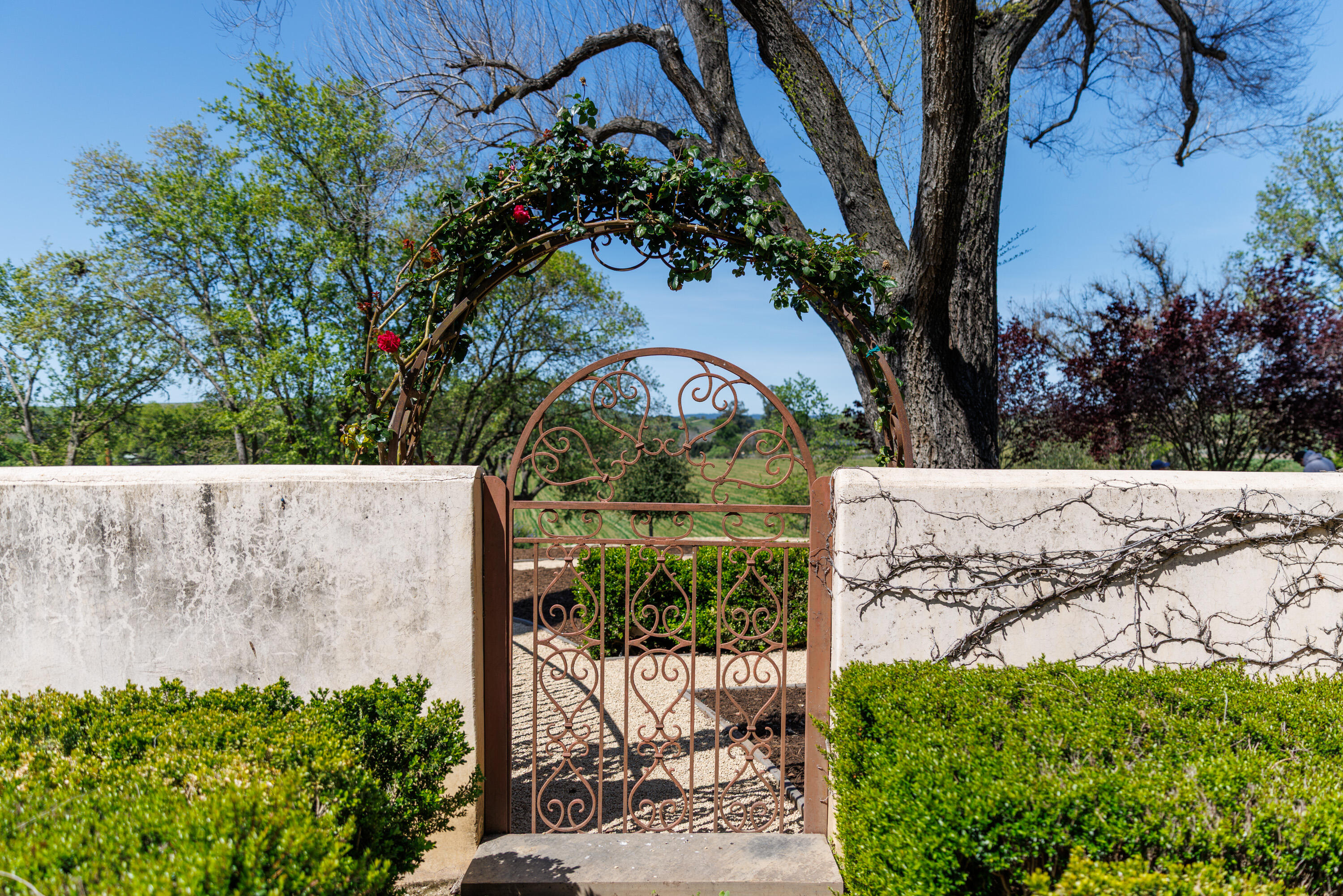 Los Olivos, California 93460, United States, 3 Bedrooms Bedrooms, ,5 BathroomsBathrooms,Residential,Active,122901