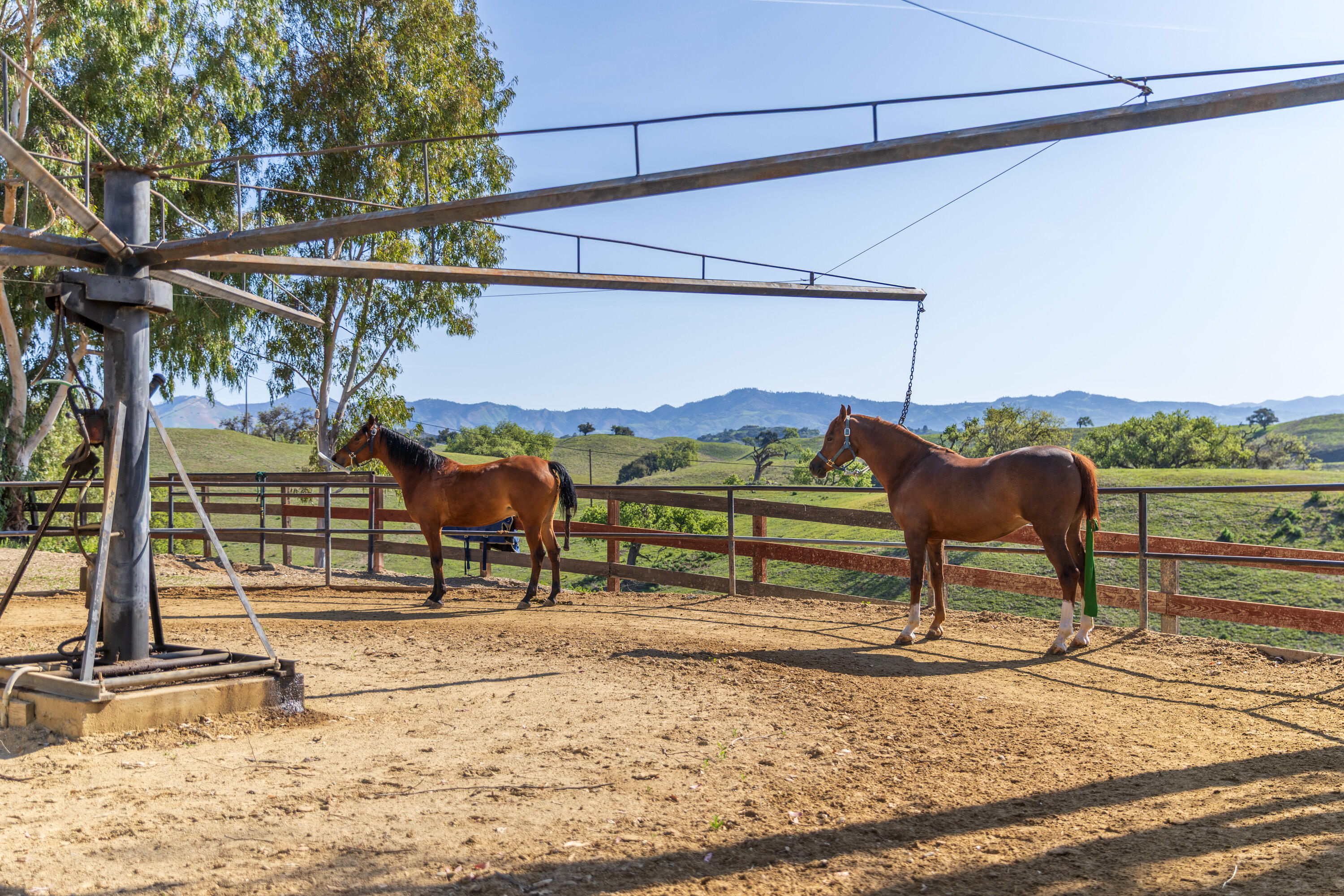 Los Olivos, California 93460, United States, 3 Bedrooms Bedrooms, ,5 BathroomsBathrooms,Residential,Active,122901