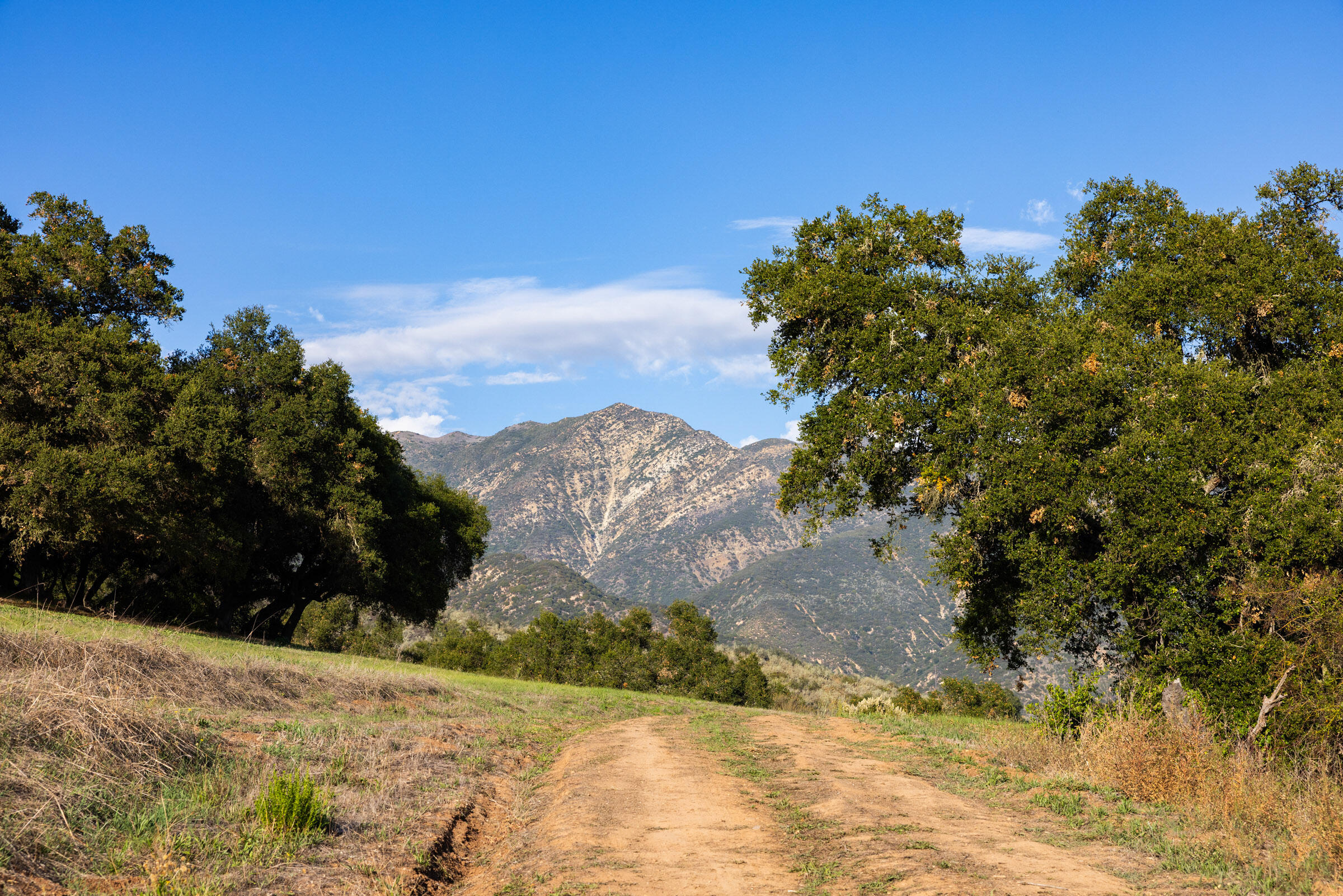 Carpinteria, California 93013, United States, ,Land,Active,243958