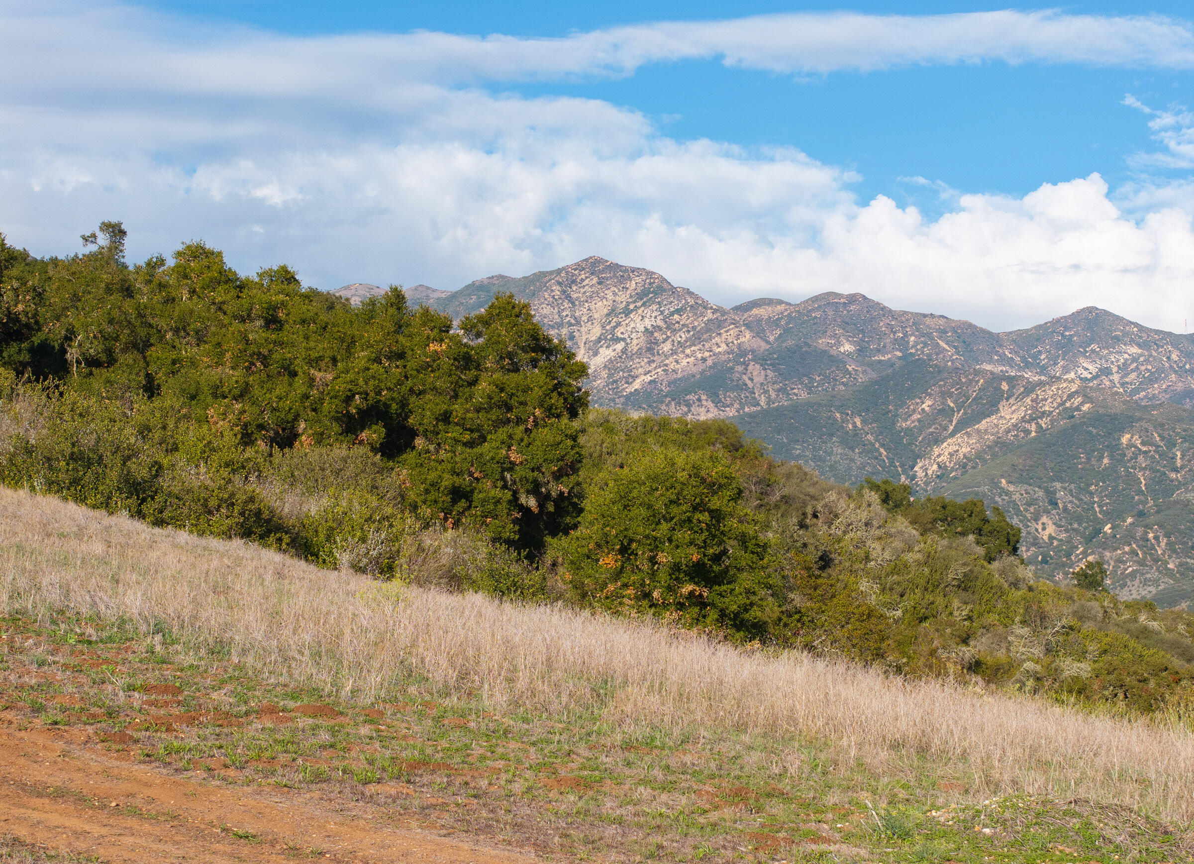 Carpinteria, California 93013, United States, ,Land,Active,243958