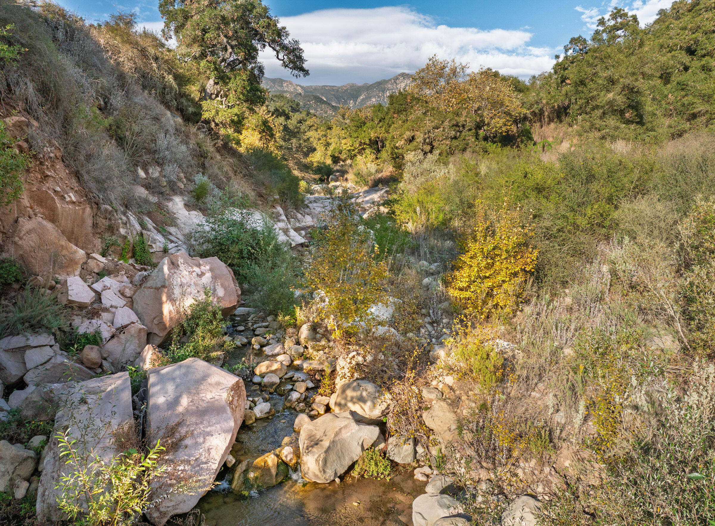 Carpinteria, California 93013, United States, ,Land,Active,243958
