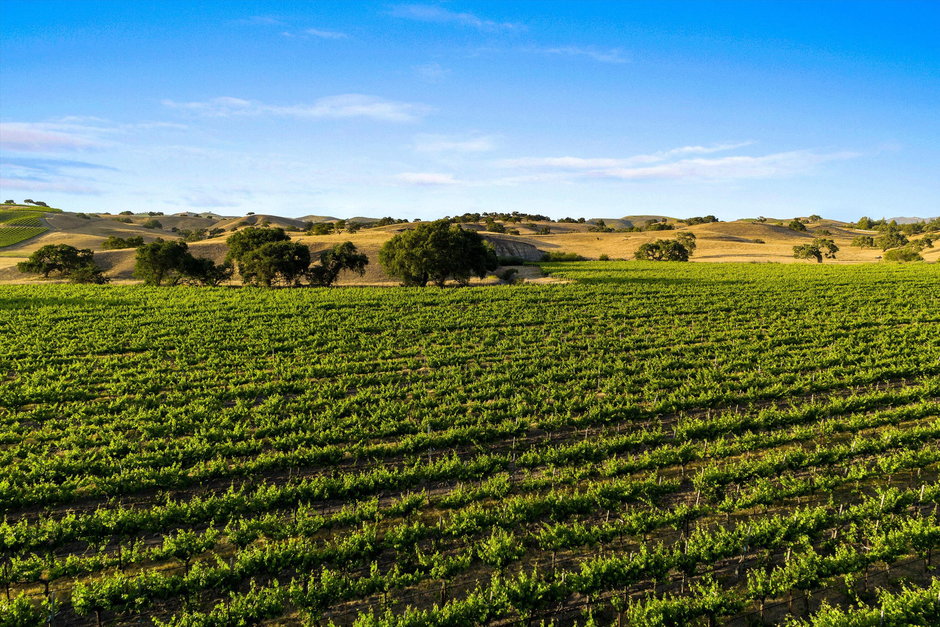 Los Alamos, California 93440, United States, ,Commercial,Active,152897