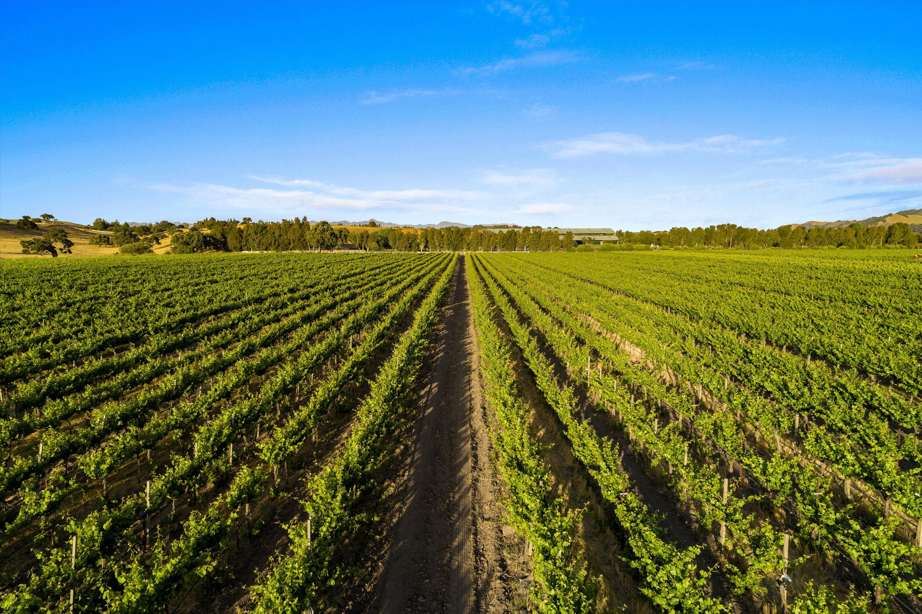 Los Alamos, California 93440, United States, ,Commercial,Active,152897