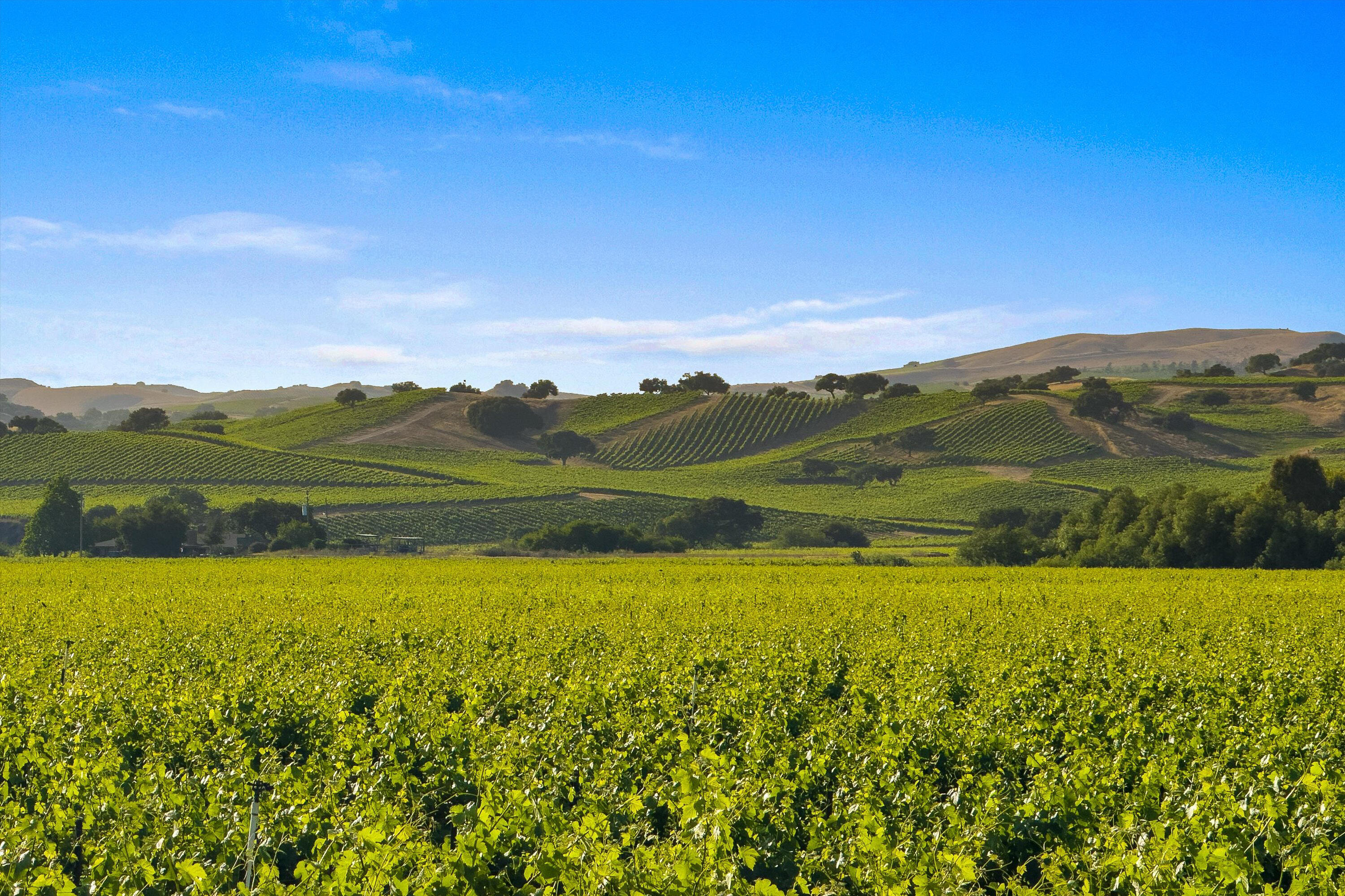 Los Alamos, California 93440, United States, ,Commercial,Active,152897