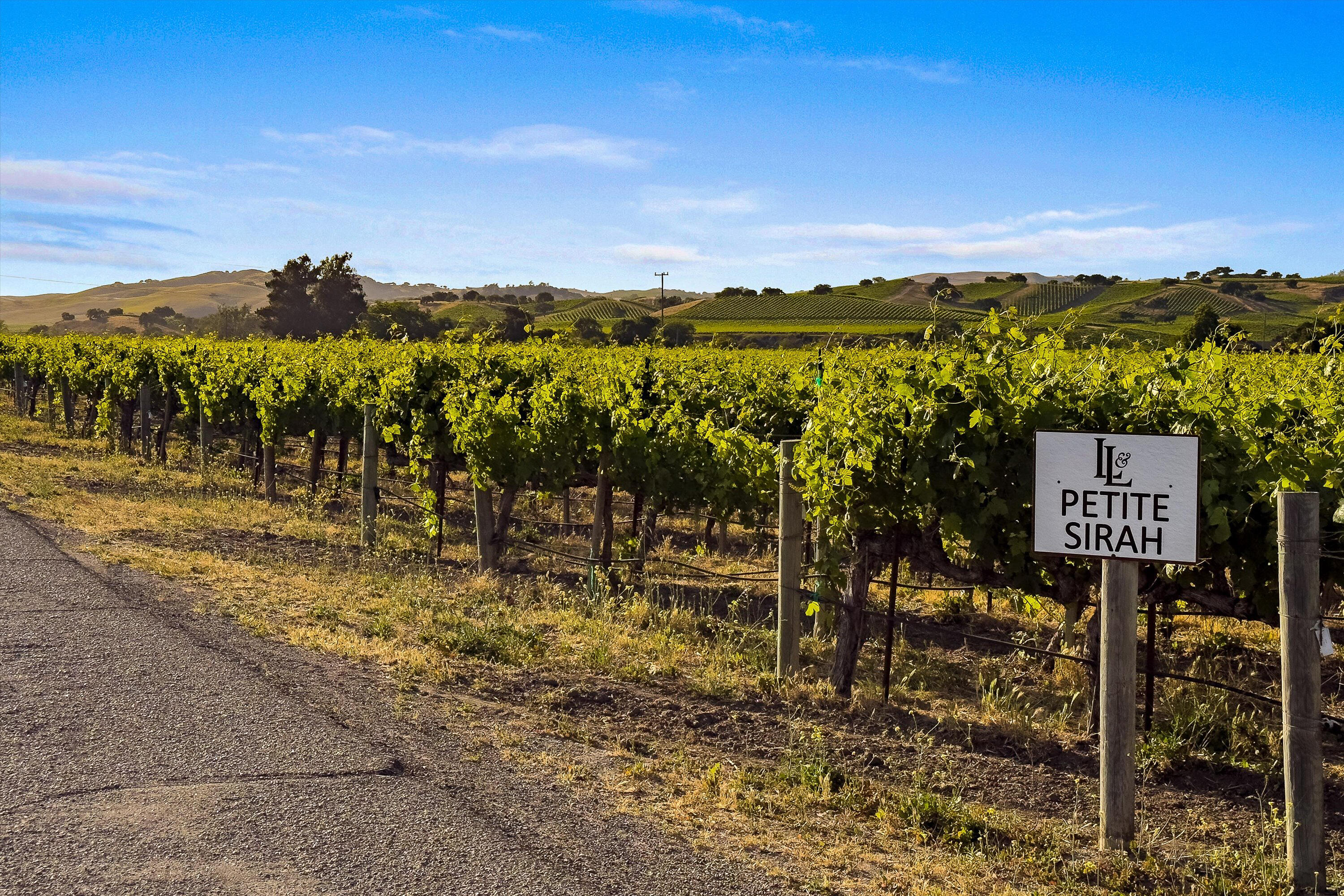 Los Alamos, California 93440, United States, ,Commercial,Active,152897