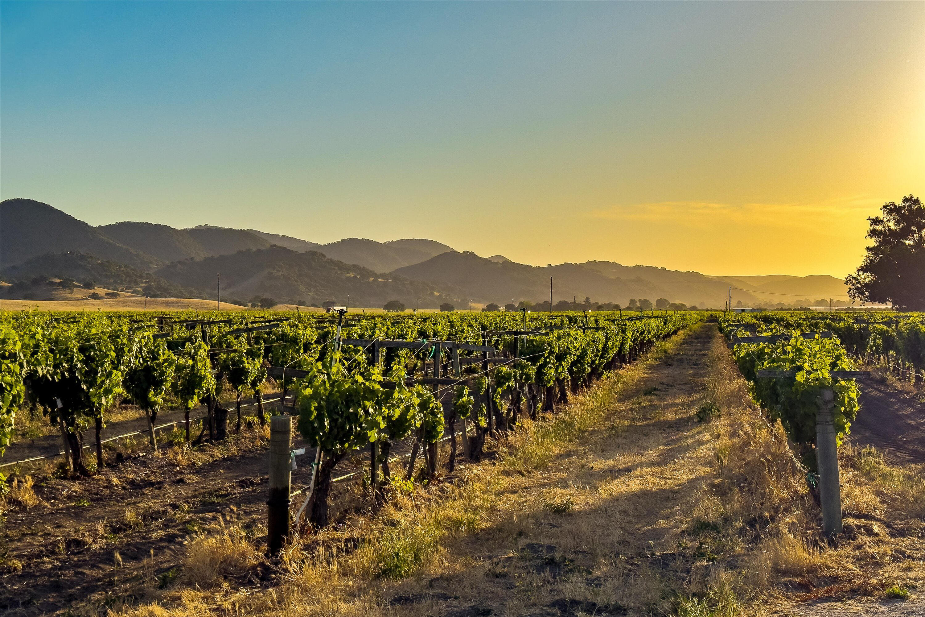 Los Alamos, California 93440, United States, ,Commercial,Active,152897