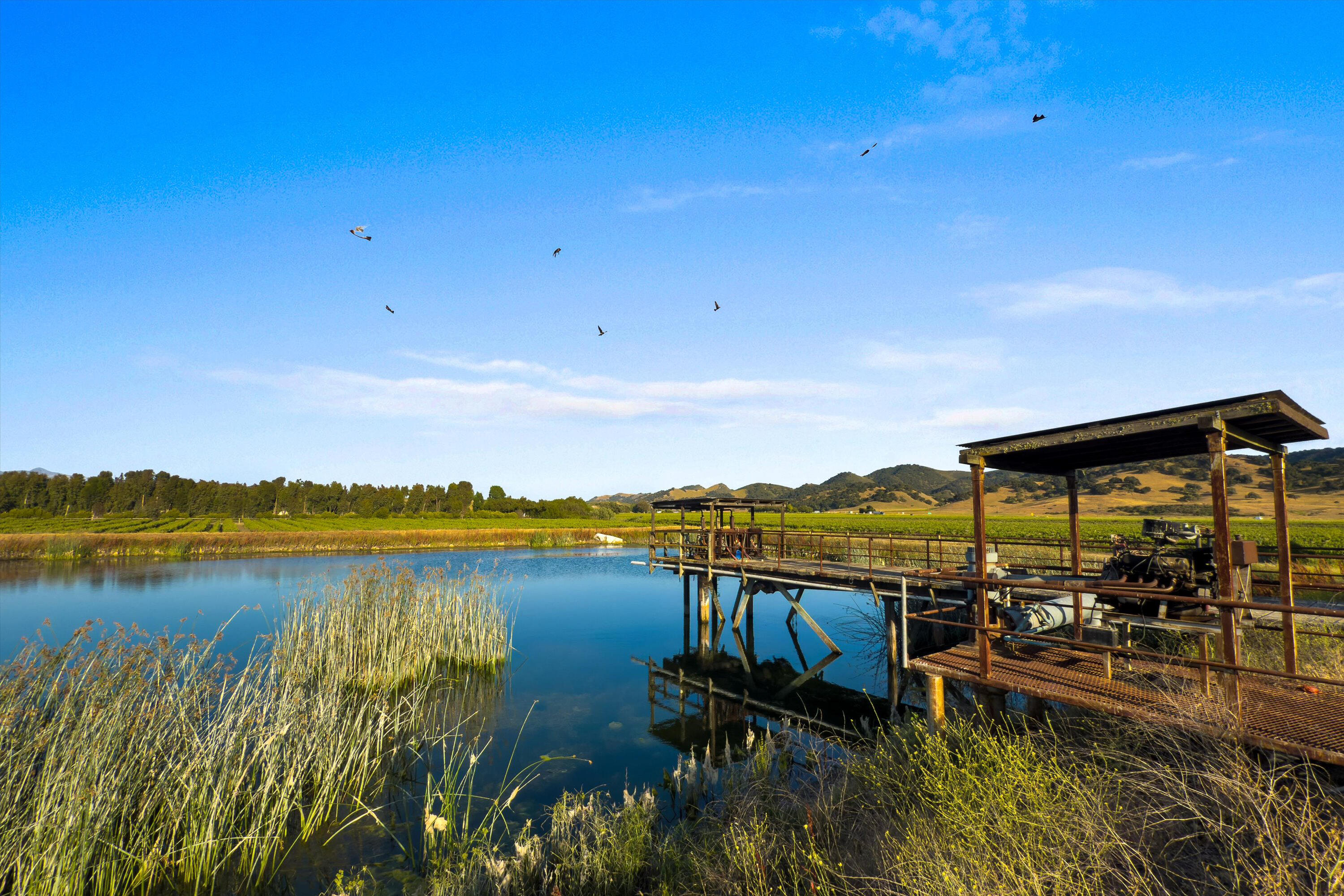 Los Alamos, California 93440, United States, ,Commercial,Active,152897