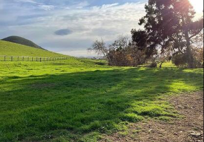 3970 ORCUTT RD, SAN LUIS OBISPO, CA 93401 - Image 7053d68f07d2e9e7b62b256d5e4ff239/3488843721