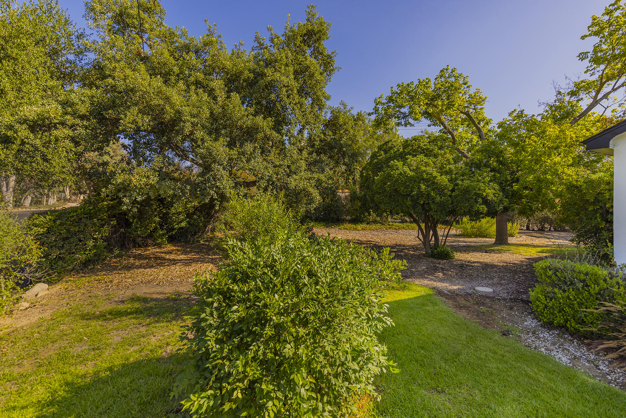 Ojai, California 93023, United States, 2 Bedrooms Bedrooms, ,2 BathroomsBathrooms,Residential,Active,173051