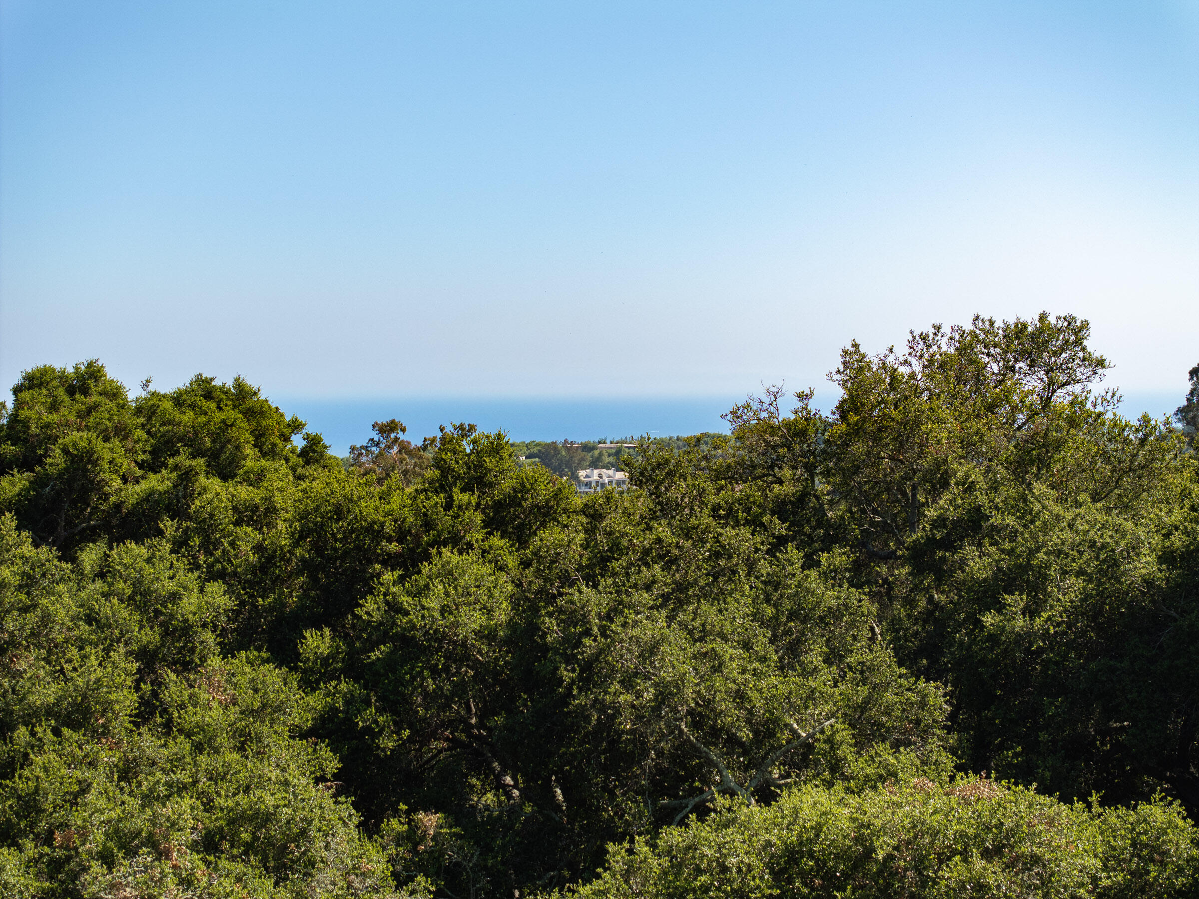 Montecito, California 93108, United States, ,Land,Active,52961