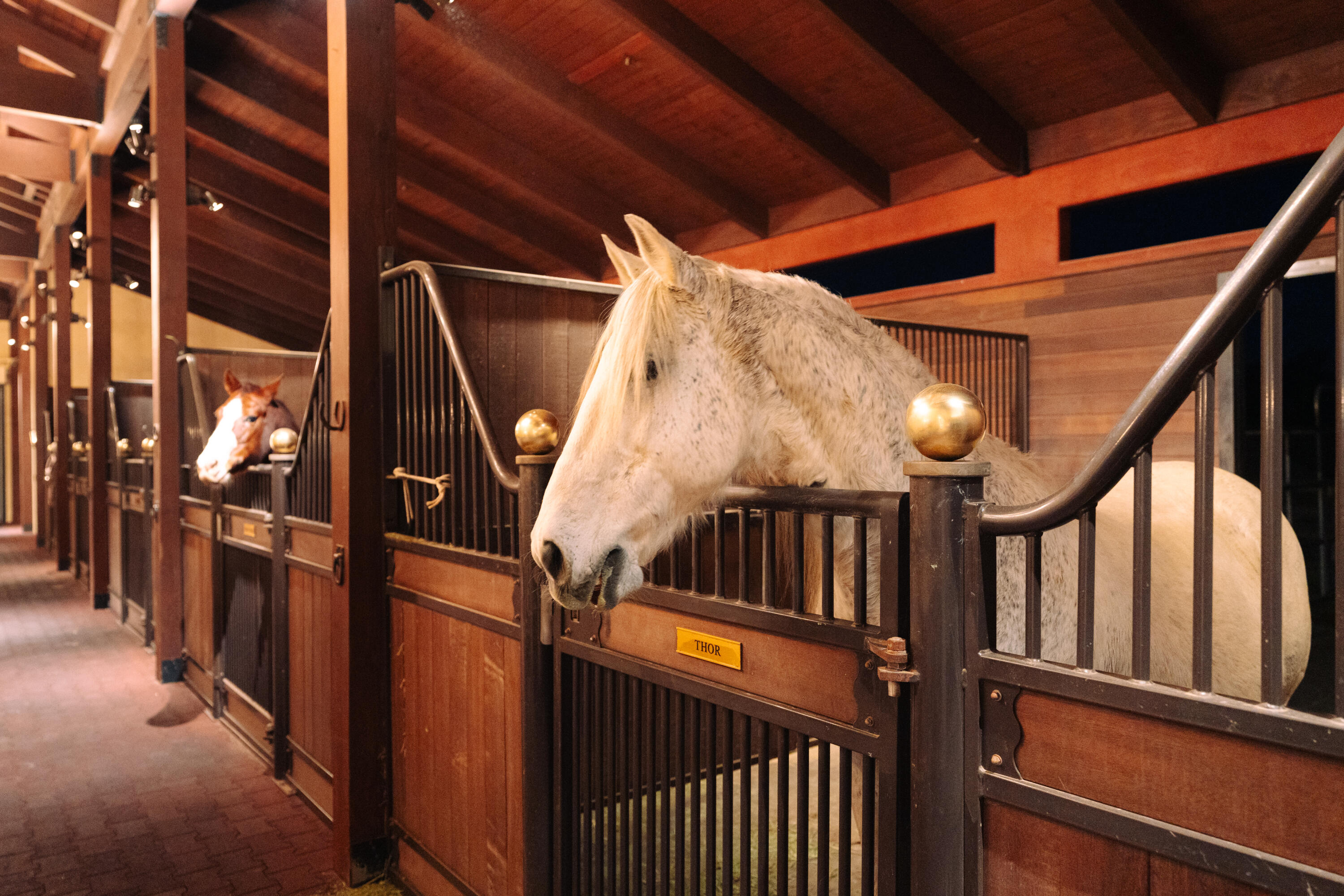 Carpinteria, California 93013, United States, 5 Bedrooms Bedrooms, ,8 BathroomsBathrooms,Residential,Active,254345