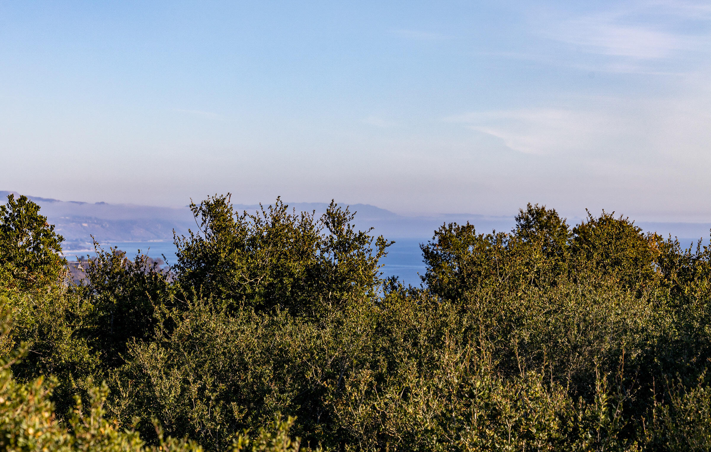 Montecito, California 93108, United States, 3 Bedrooms Bedrooms, ,4 BathroomsBathrooms,Residential,Active,254447