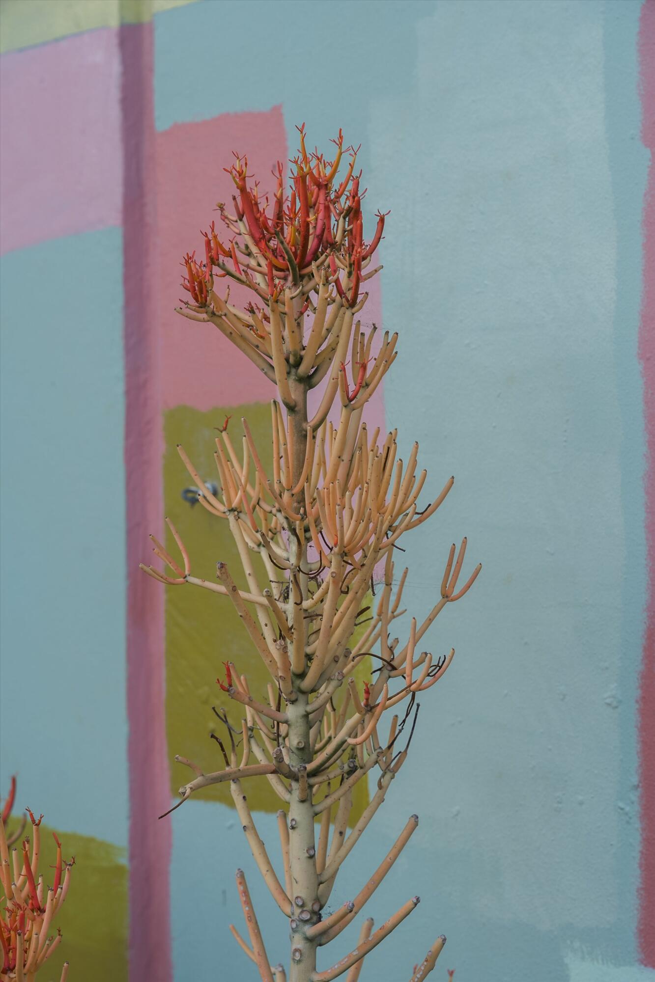 Santa Barbara, California 93101, United States, 2 Bedrooms Bedrooms, ,3 BathroomsBathrooms,Residential,Coming Soon,219003