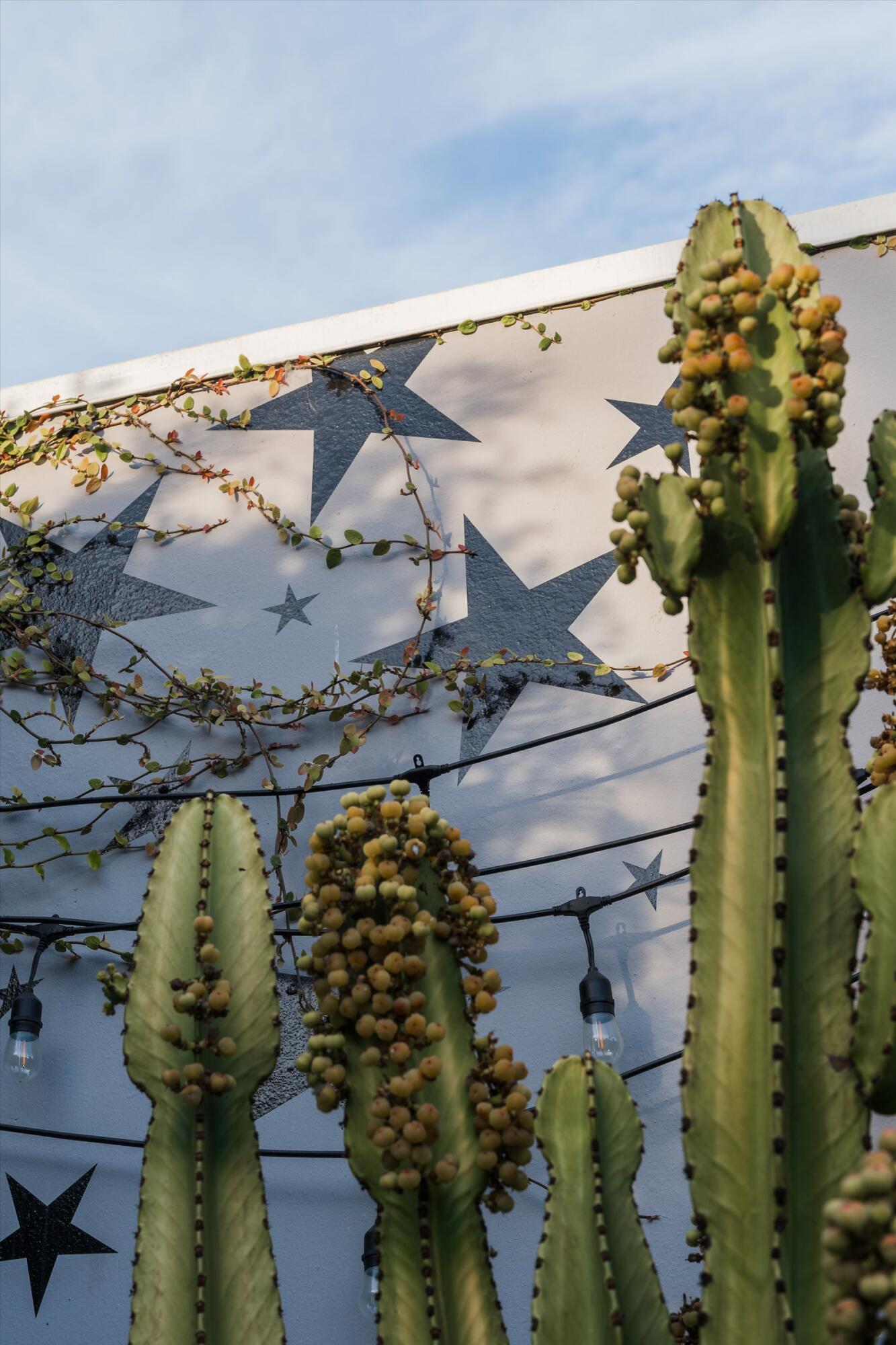 Santa Barbara, California 93101, United States, 2 Bedrooms Bedrooms, ,3 BathroomsBathrooms,Residential,Coming Soon,219003