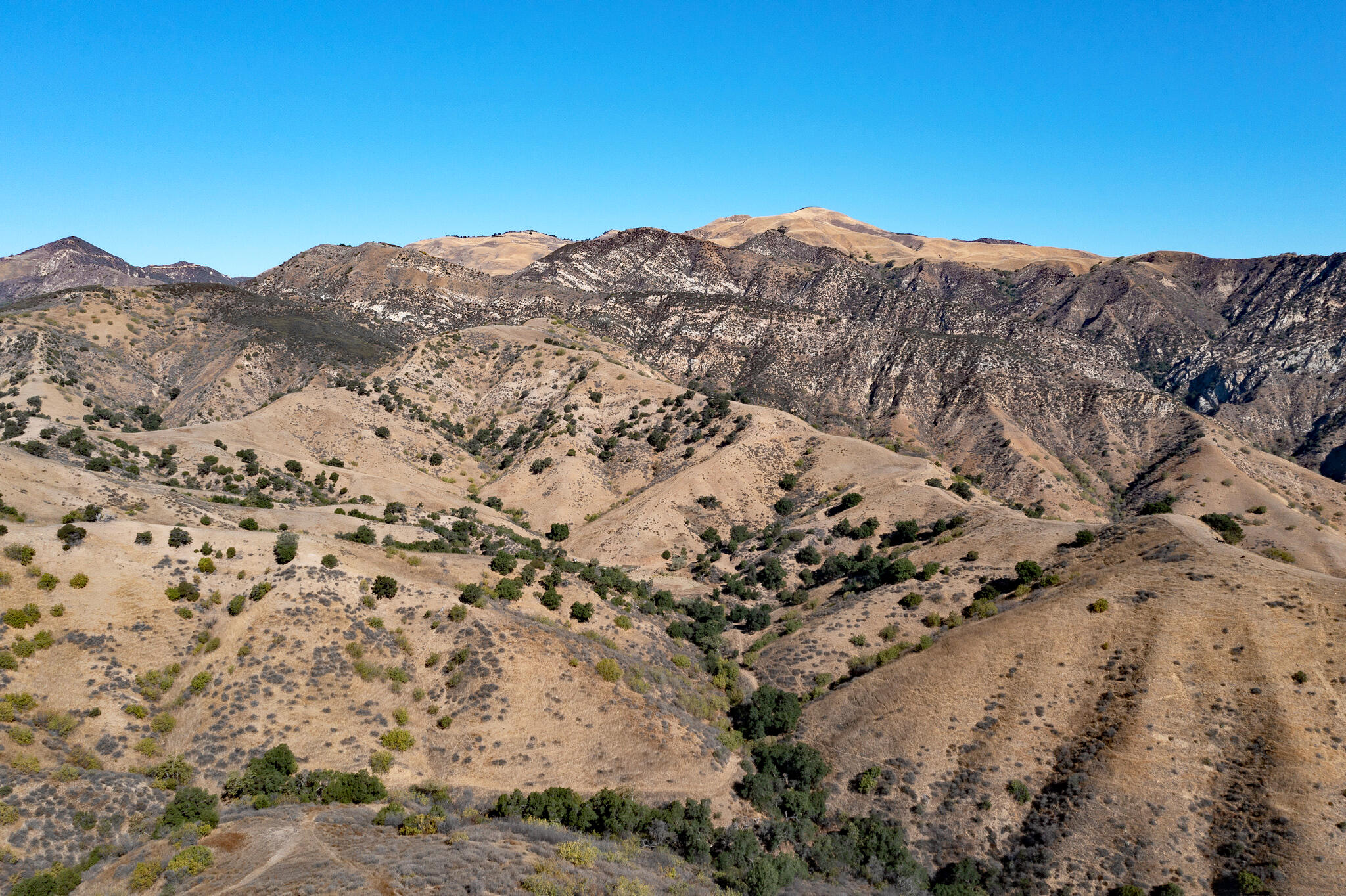 Fillmore, California 93015, United States, ,Commercial,Active,186382