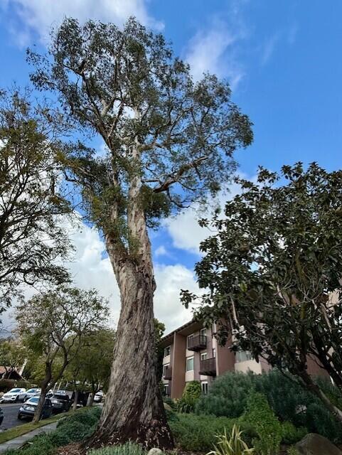 2727 Miradero Drive 301