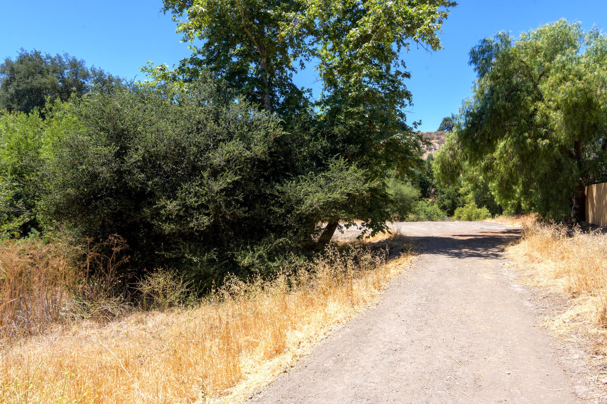 Los Olivos, California 93441, United States, 4 Bedrooms Bedrooms, ,4 BathroomsBathrooms,Residential,Active,182768