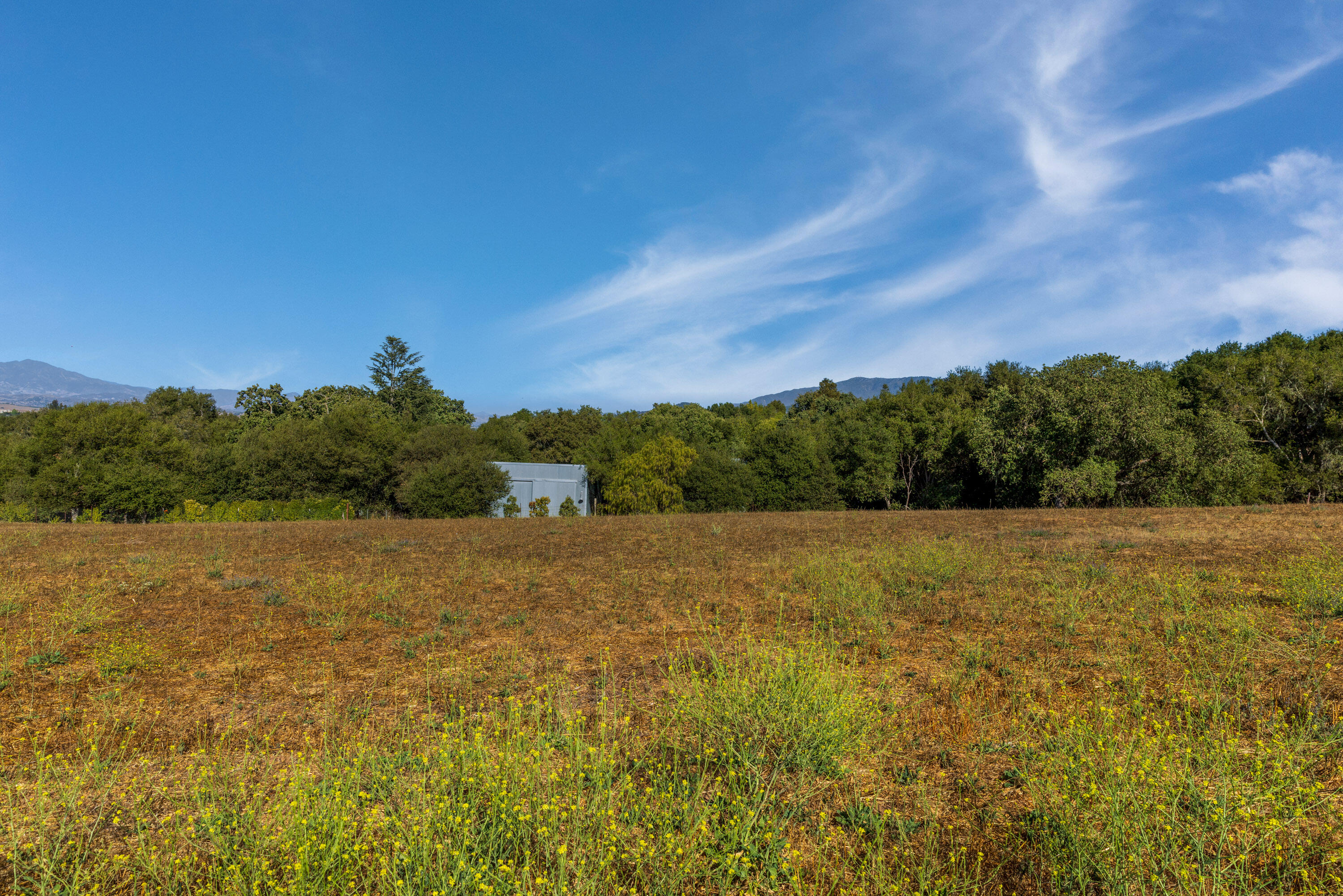 Solvang, California 93463, United States, ,Land,Active,170255