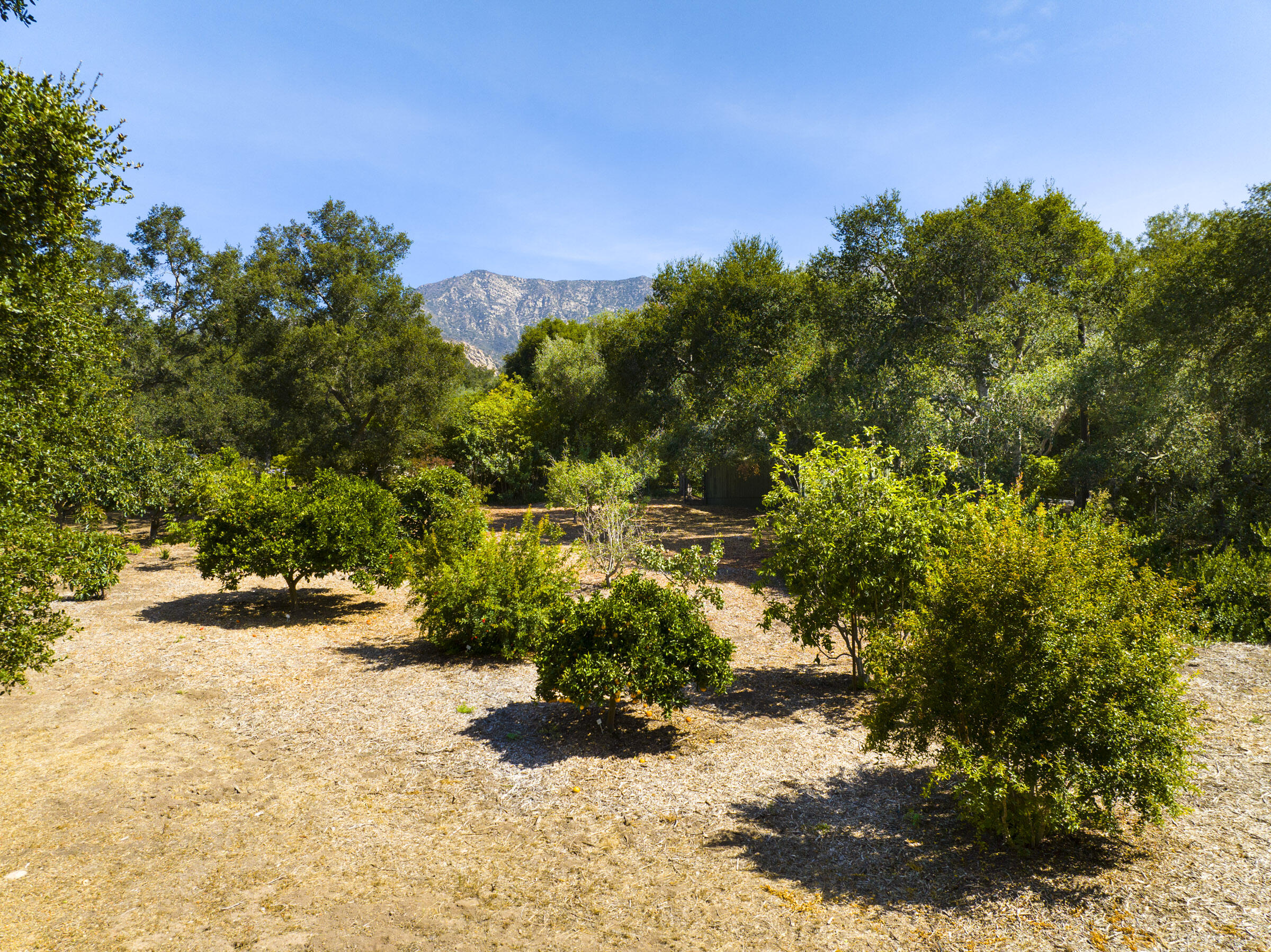 Montecito, California 93108, United States, 2 Bedrooms Bedrooms, ,2 BathroomsBathrooms,Residential,Active,96324