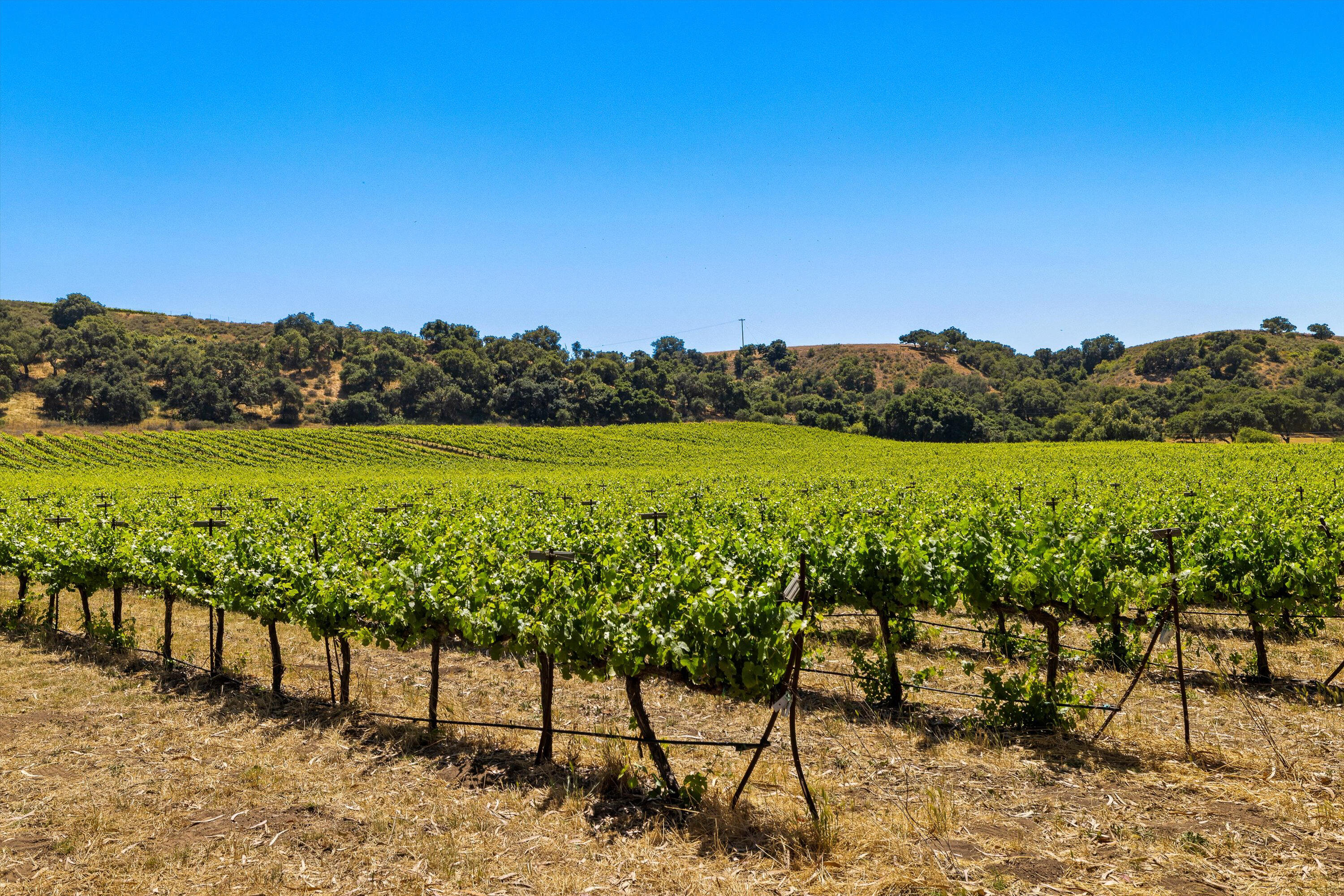 Santa Maria, California 93454, United States, ,Commercial,Active,152850