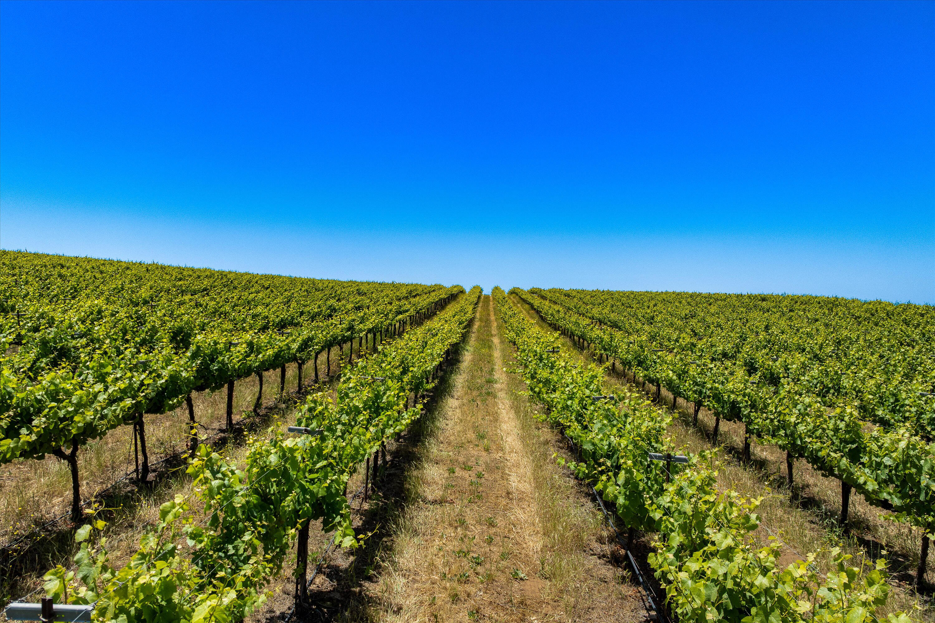 Santa Maria, California 93454, United States, ,Commercial,Active,152850