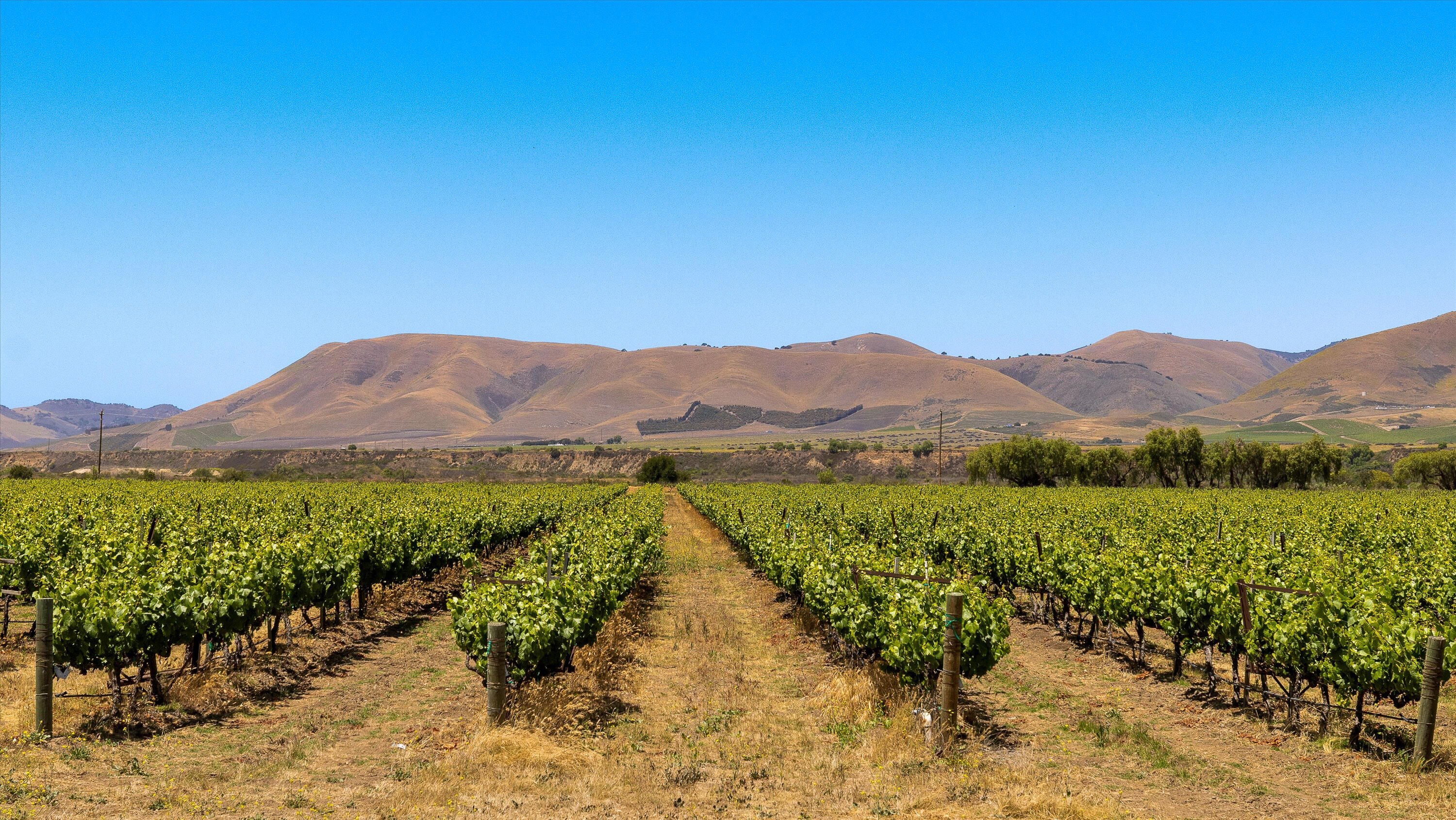 Santa Maria, California 93454, United States, ,Commercial,Active,152850