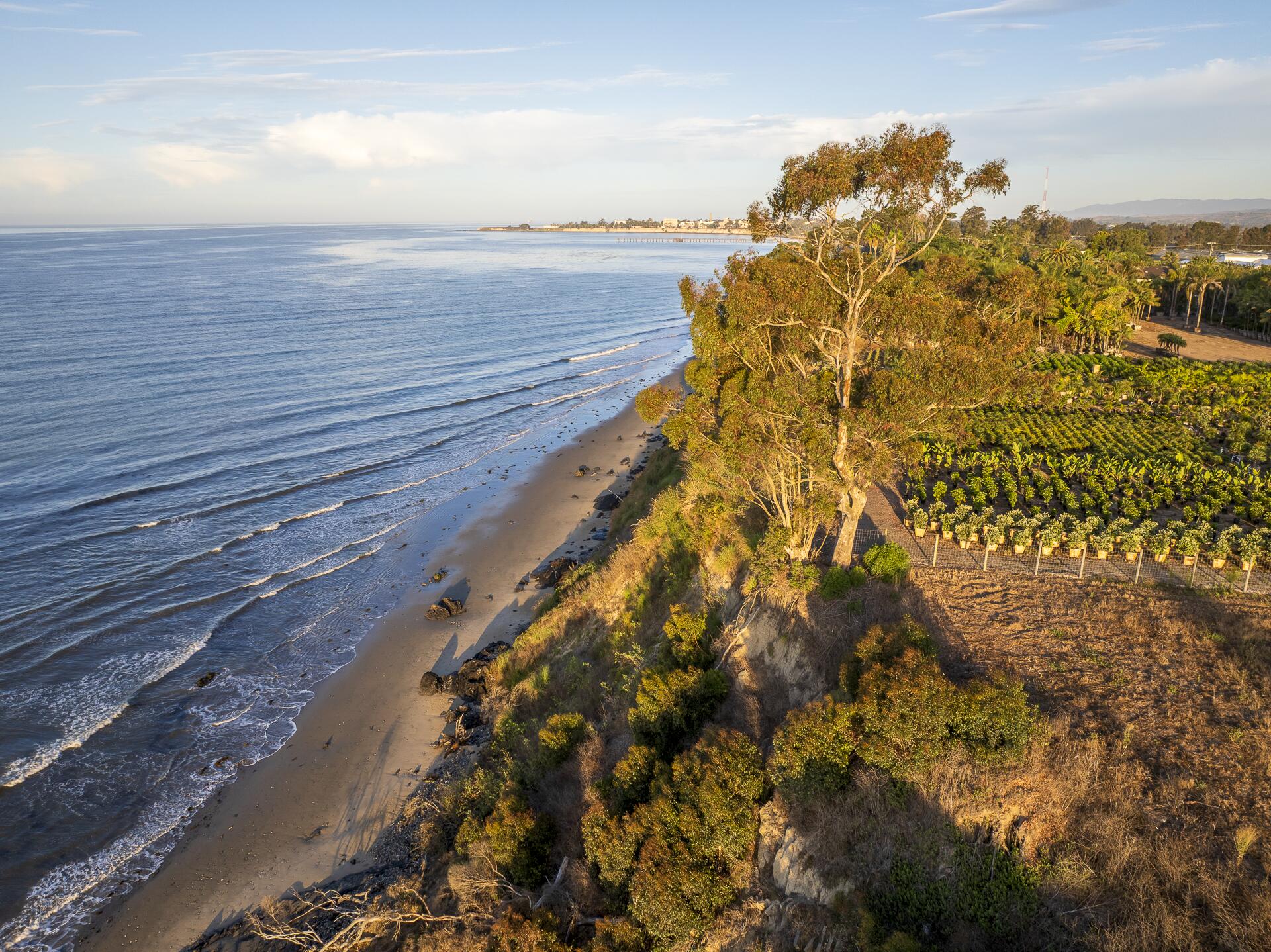 Santa Barbara, California 93111, United States, ,Land,Active,204875