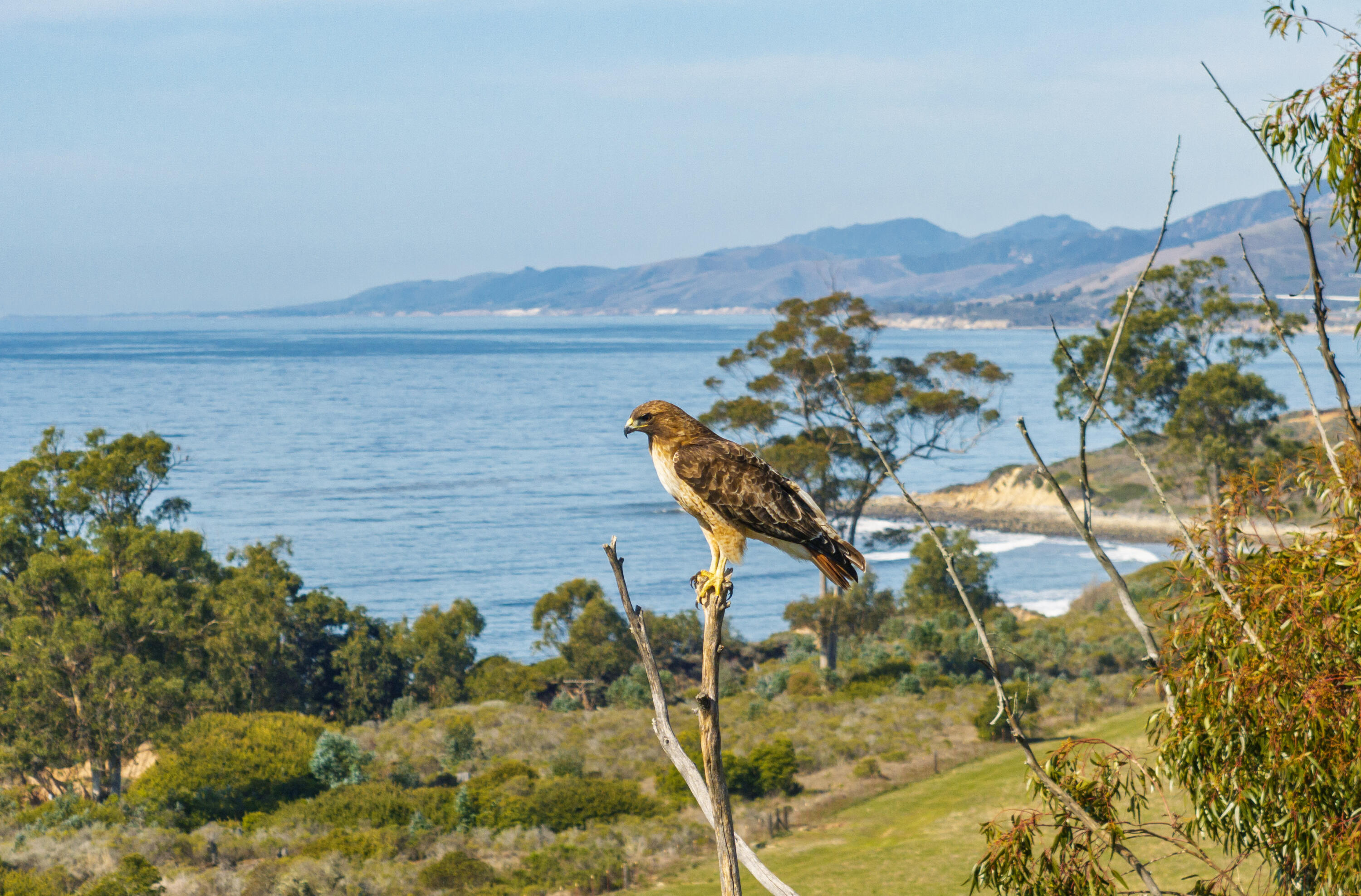 Santa Barbara, California 93117, United States, 5 Bedrooms Bedrooms, ,7 BathroomsBathrooms,Residential,Active,85023