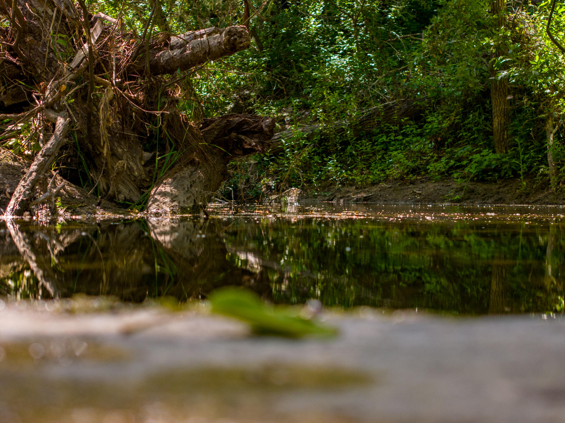 Lompoc, California 93436, United States, ,Commercial,Active,43553