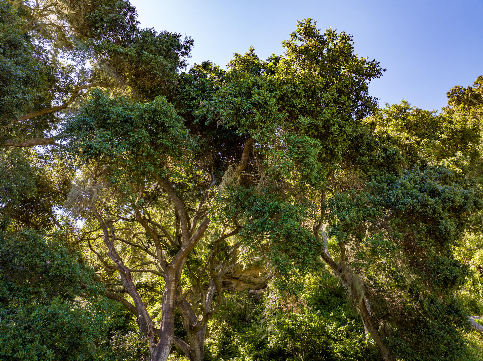 Lompoc, California 93436, United States, ,Commercial,Active,43553