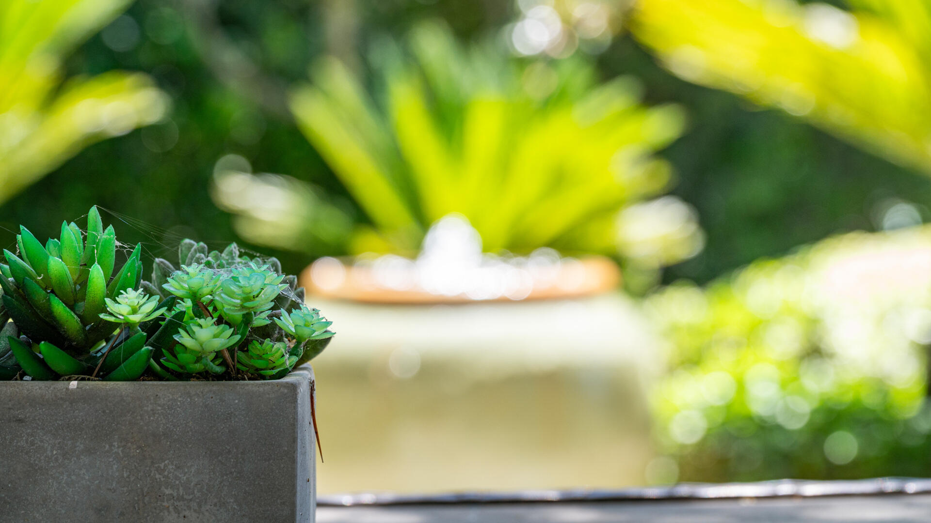 Santa Ynez, California 93460, United States, 3 Bedrooms Bedrooms, ,2 BathroomsBathrooms,Residential,Active,152664