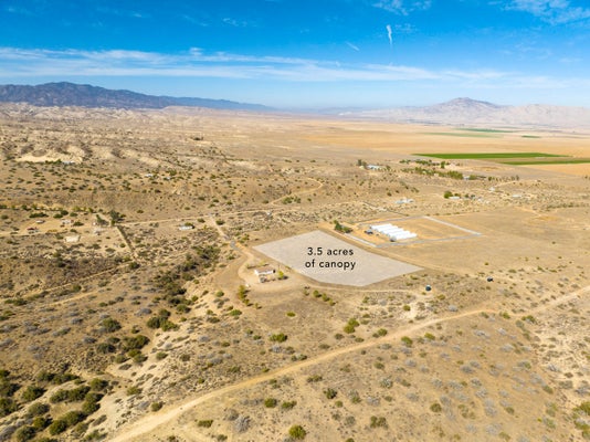 262 CASTRO CANYON RD, MARICOPA, CA 93252 - Image 925f337fae48f64dbabaf2c8d7be64c1/359448328