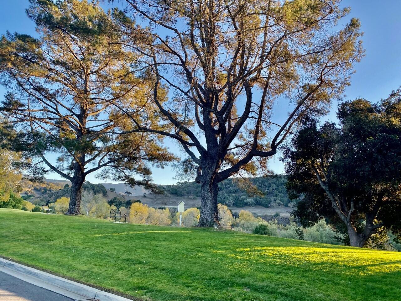 Solvang, California 93463, United States, 3 Bedrooms Bedrooms, ,2 BathroomsBathrooms,Residential,Active,29700