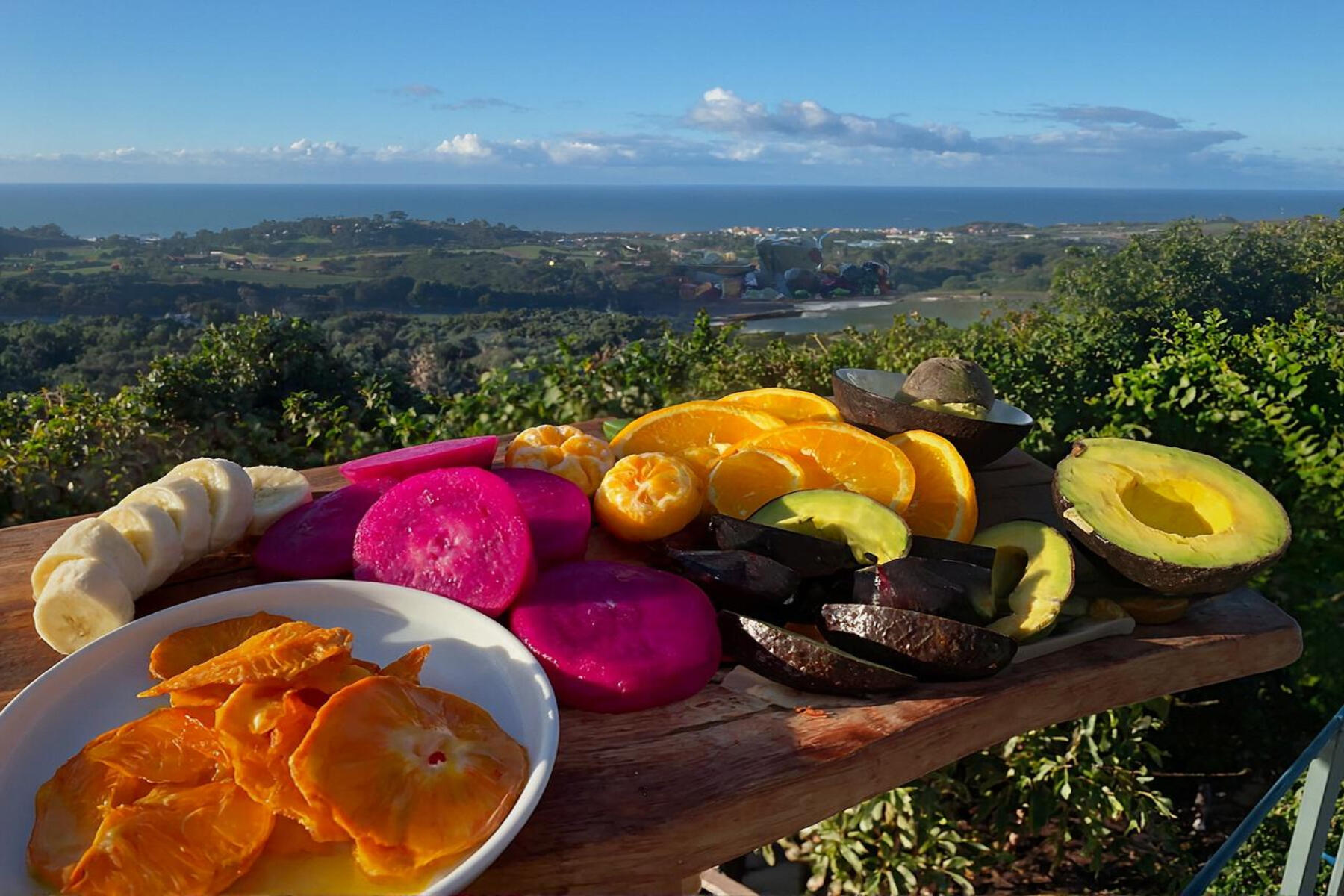 7401 Shepard Mesa Road