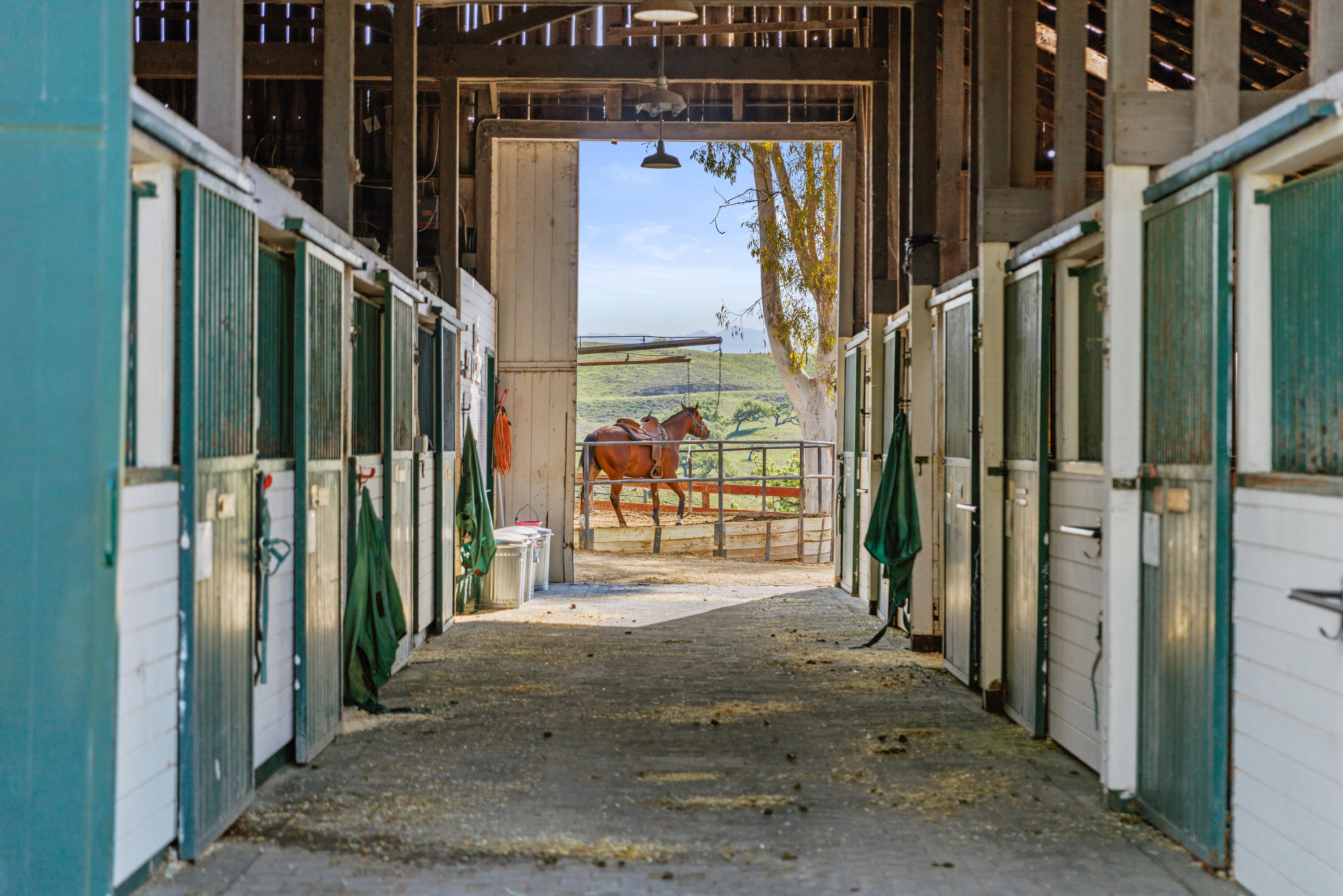 Los Olivos, California 93460, United States, 3 Bedrooms Bedrooms, ,5 BathroomsBathrooms,Residential,Active,237368
