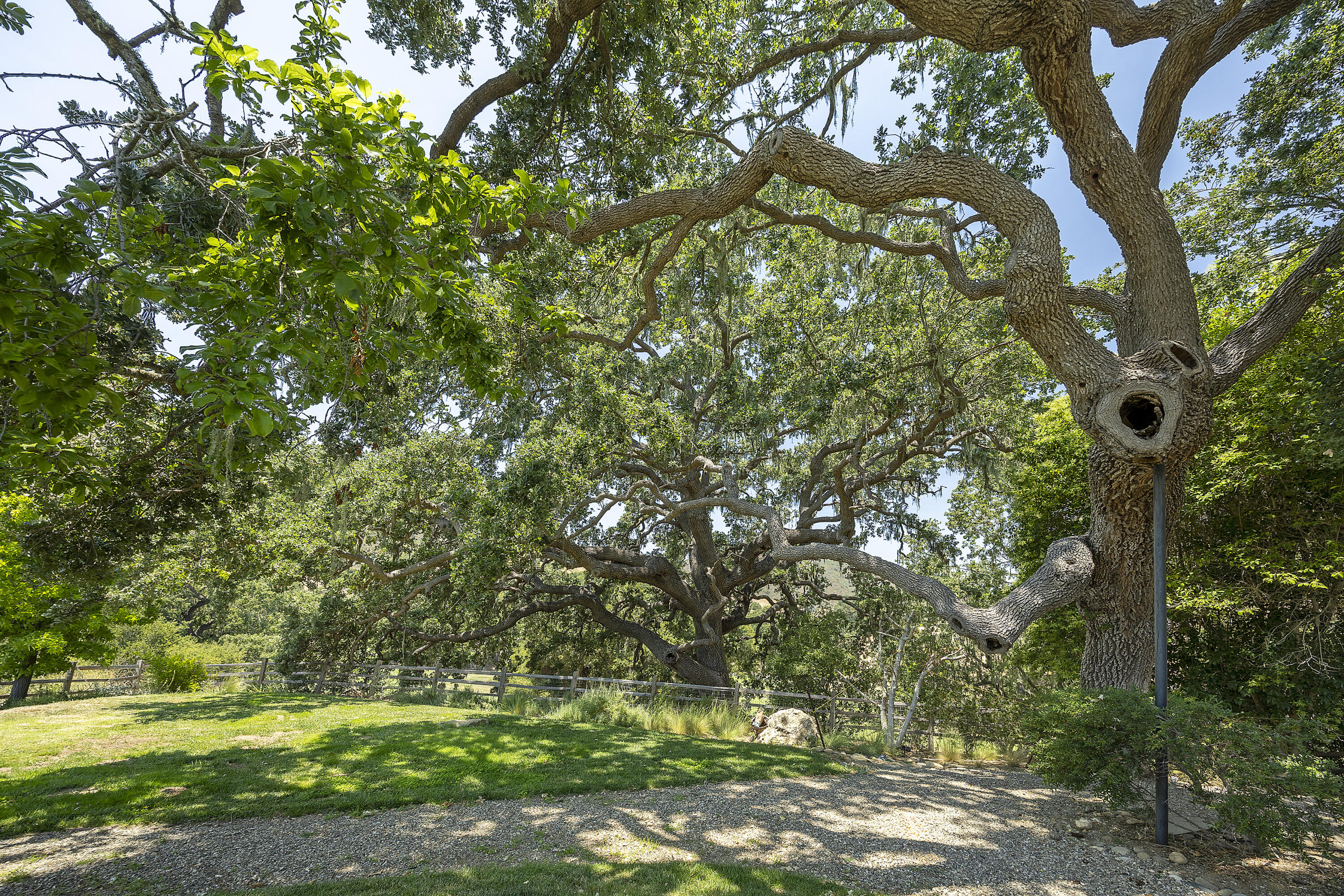 Solvang, California 93463, United States, 3 Bedrooms Bedrooms, ,3 BathroomsBathrooms,Residential,Active,167750