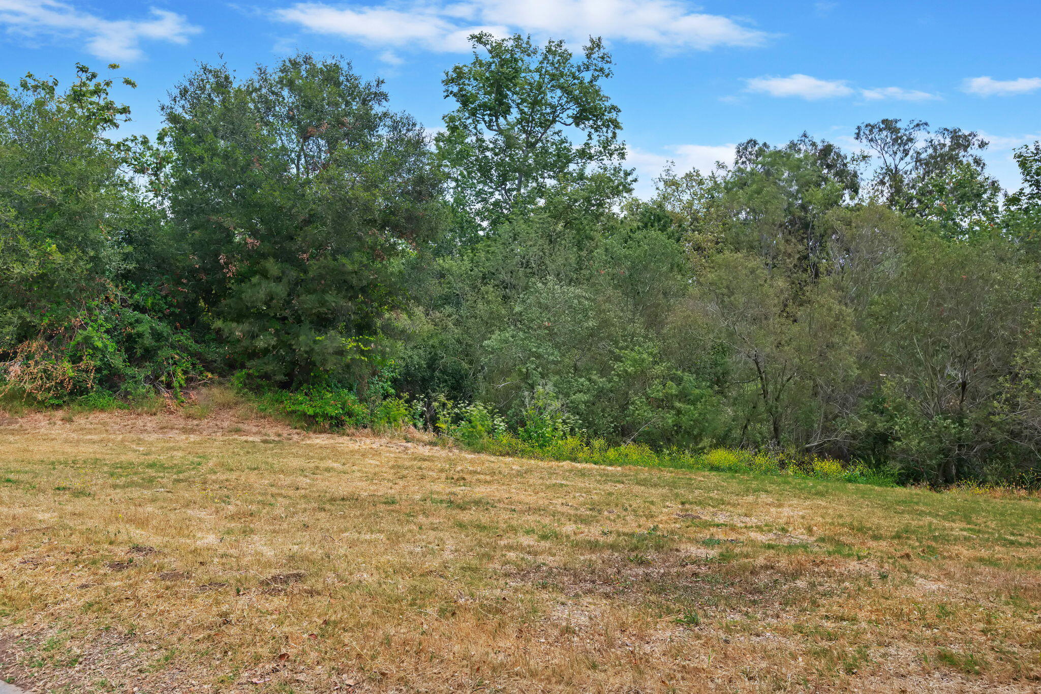 Santa Barbara, California 93111, United States, 5 Bedrooms Bedrooms, ,4 BathroomsBathrooms,Residential,Active,151628