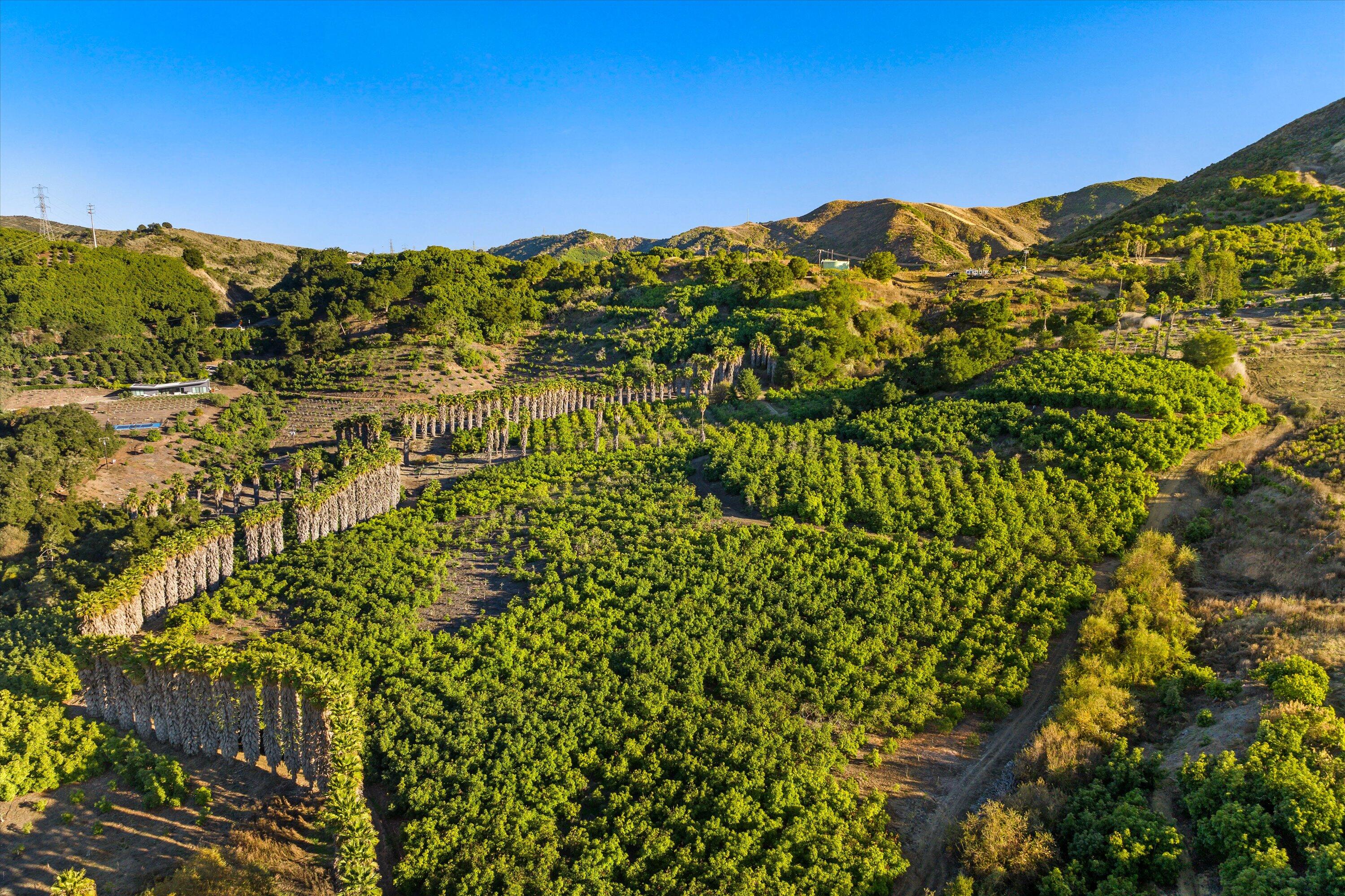 Ventura, California 93001, United States, 3 Bedrooms Bedrooms, ,2 BathroomsBathrooms,Residential,Active,61614