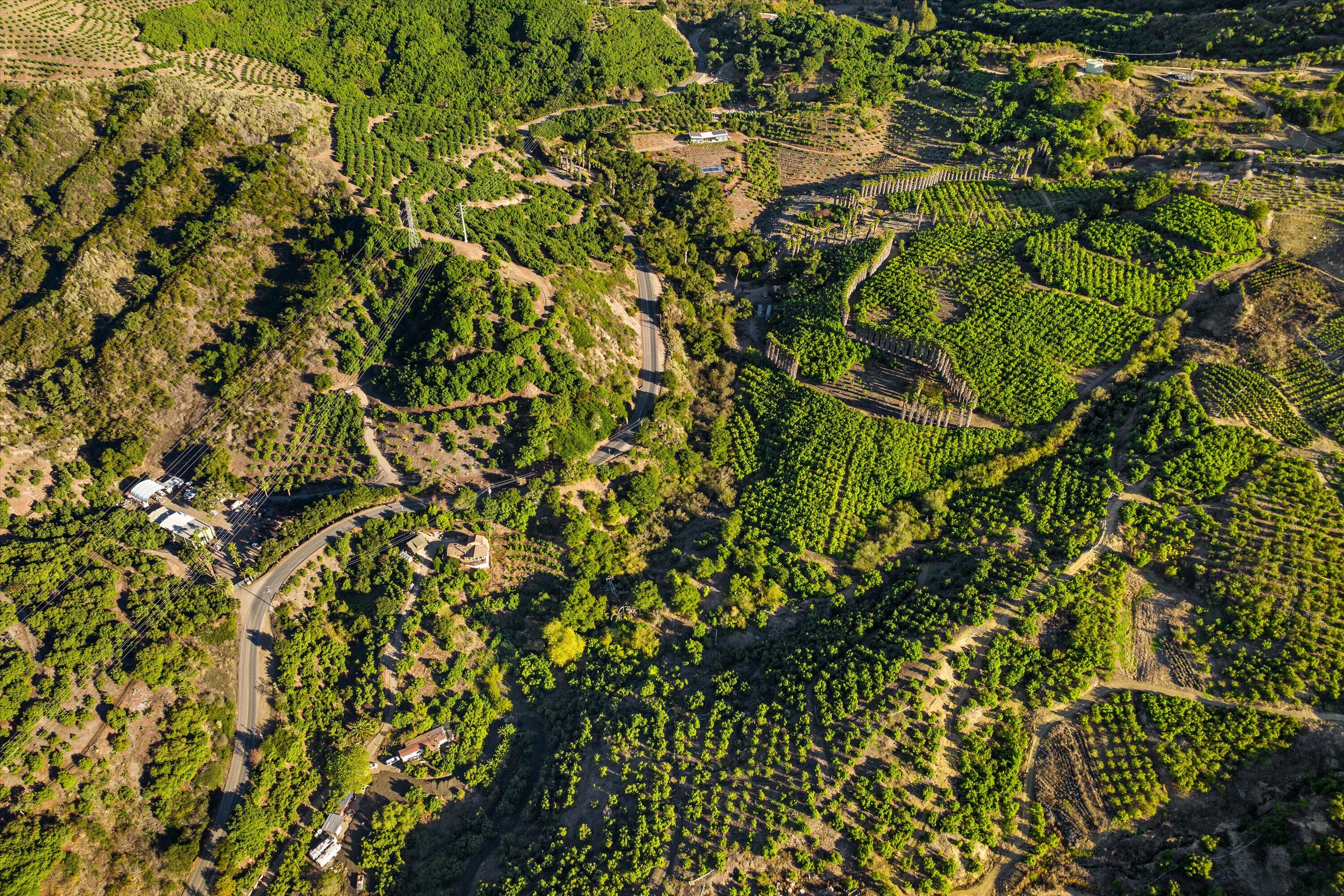 Ventura, California 93001, United States, 3 Bedrooms Bedrooms, ,2 BathroomsBathrooms,Residential,Active,61614