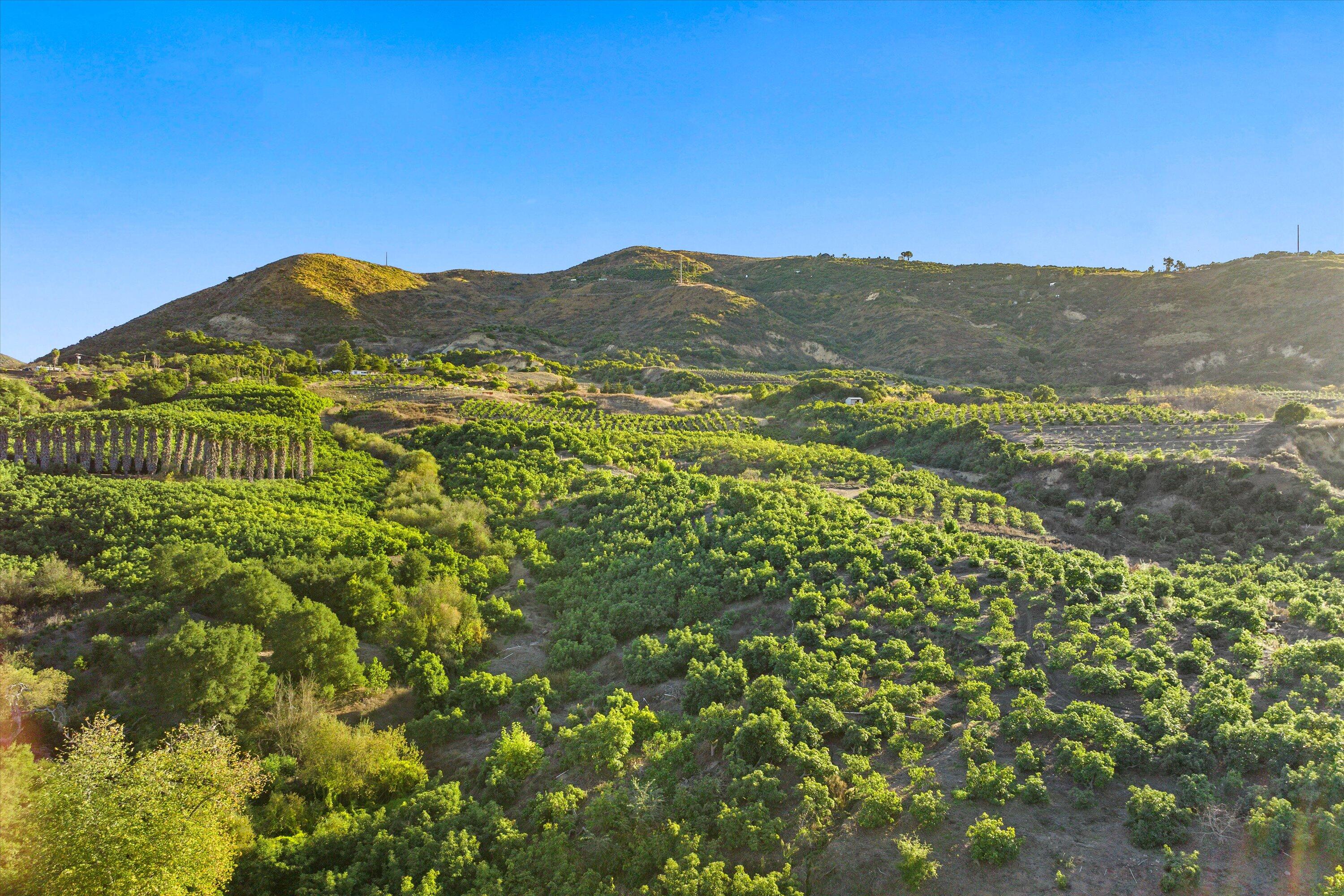 Ventura, California 93001, United States, 3 Bedrooms Bedrooms, ,2 BathroomsBathrooms,Residential,Active,61614