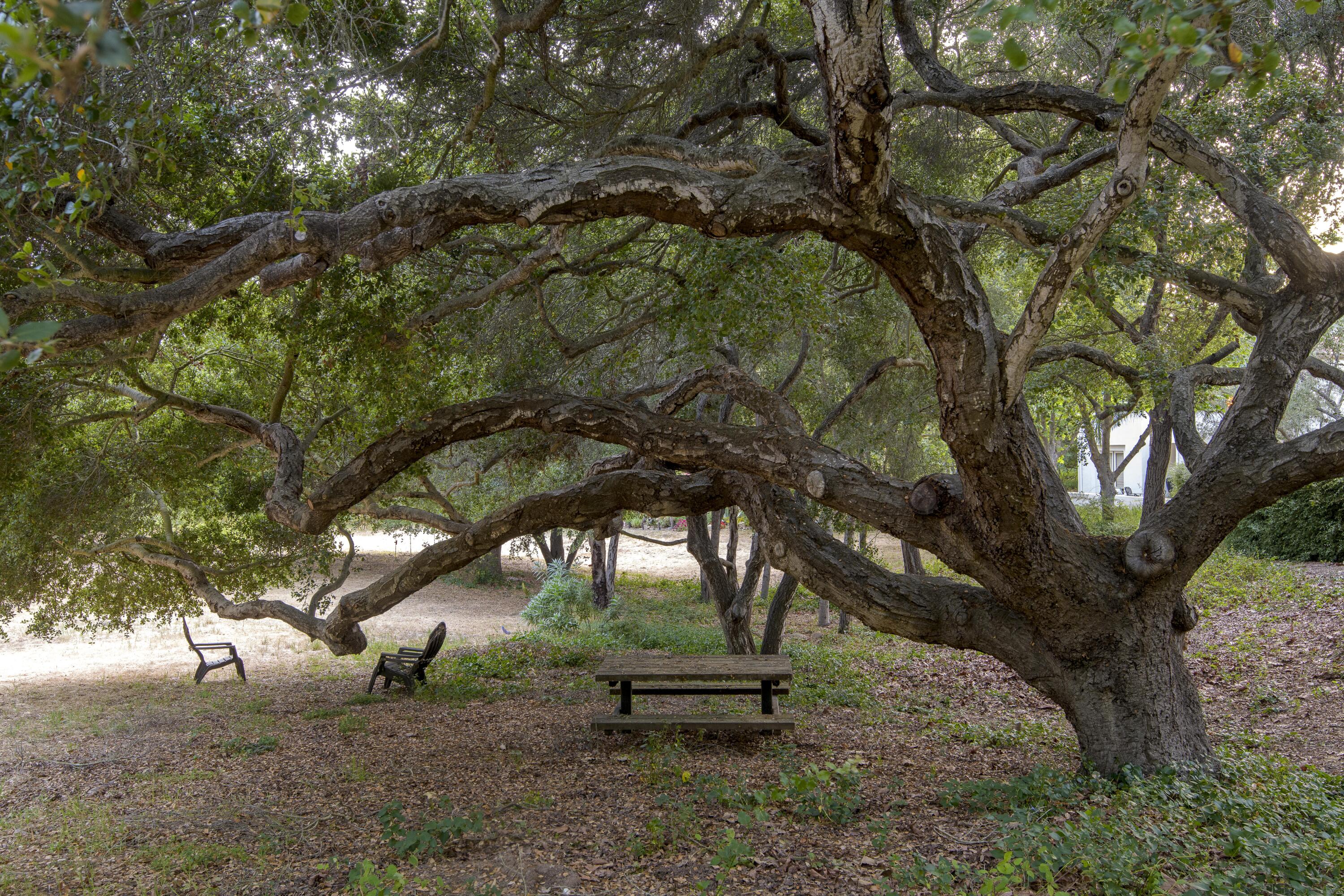 Santa Barbara, California 93105, United States, 3 Bedrooms Bedrooms, ,4 BathroomsBathrooms,Residential,Active,157626