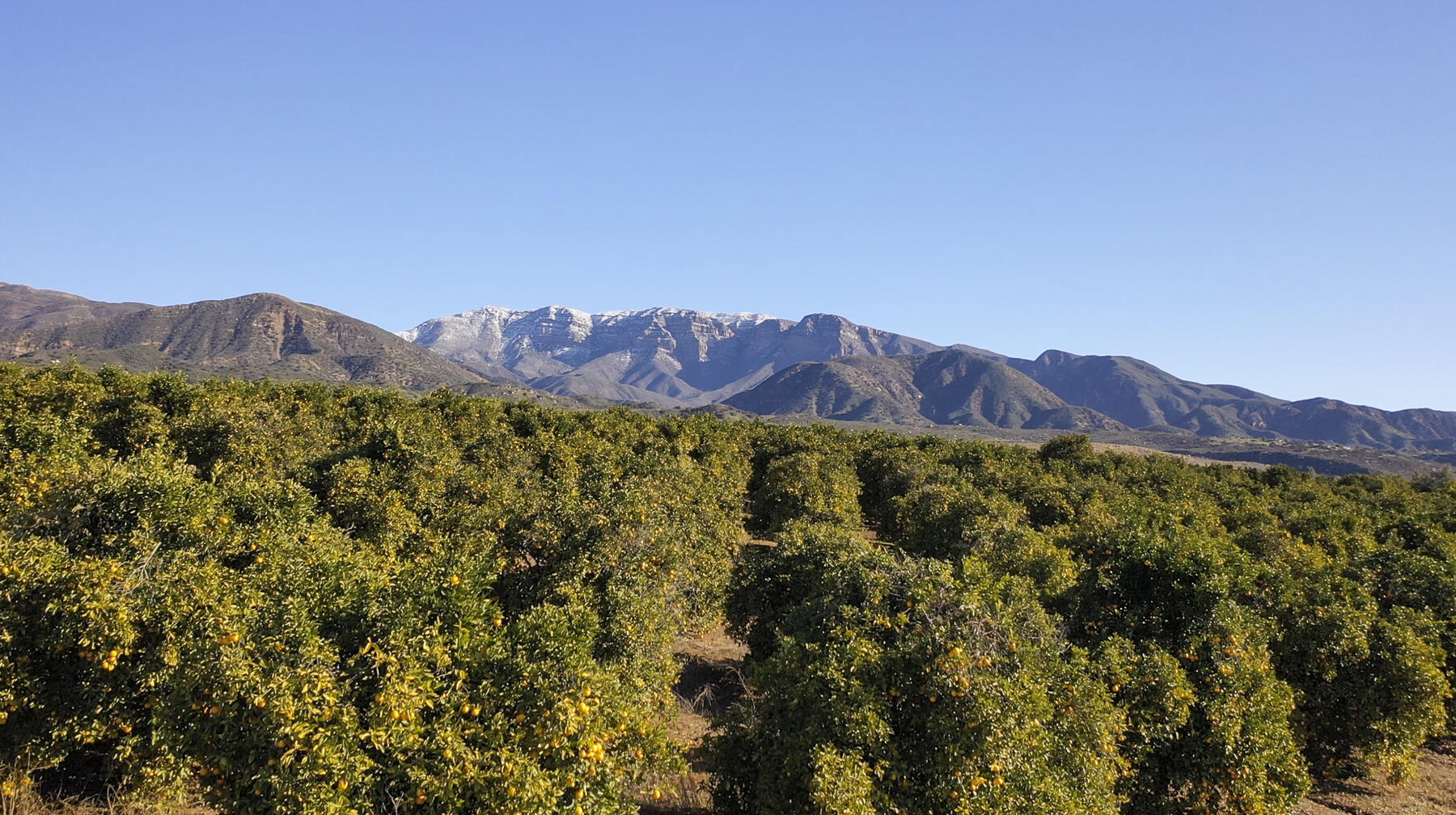 Ojai, California 93023, United States, ,Land,Active,141662