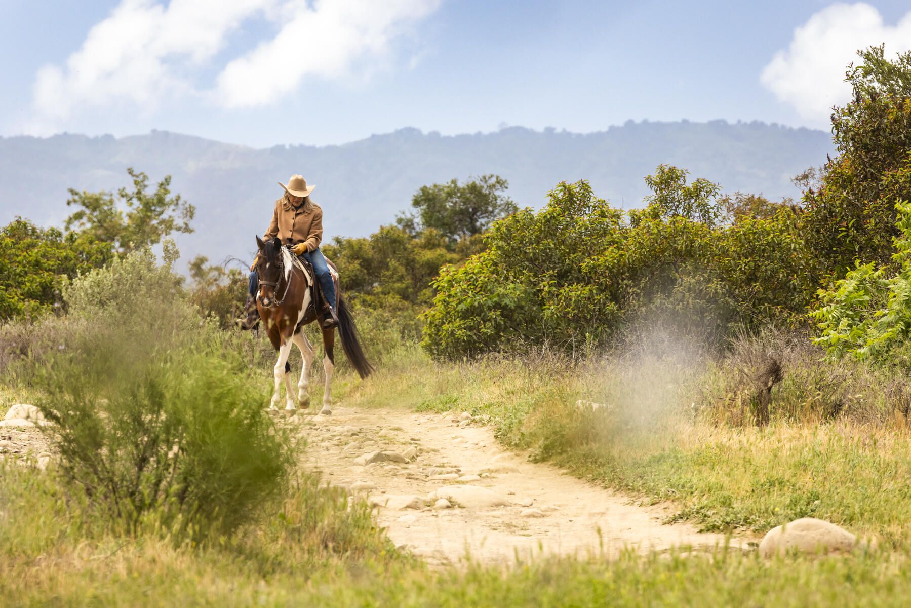 Ojai, California 93023, United States, ,Land,Active,141662