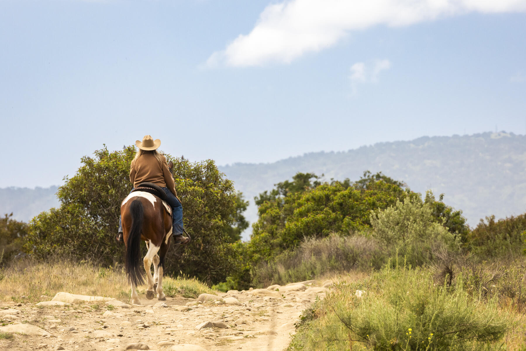 Ojai, California 93023, United States, ,Land,Active,141662